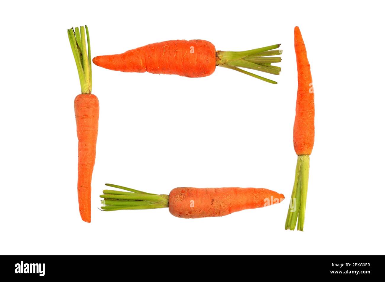 Die unreifen Wurzeln der Karottenpflanze auf weißem Hintergrund Stockfoto