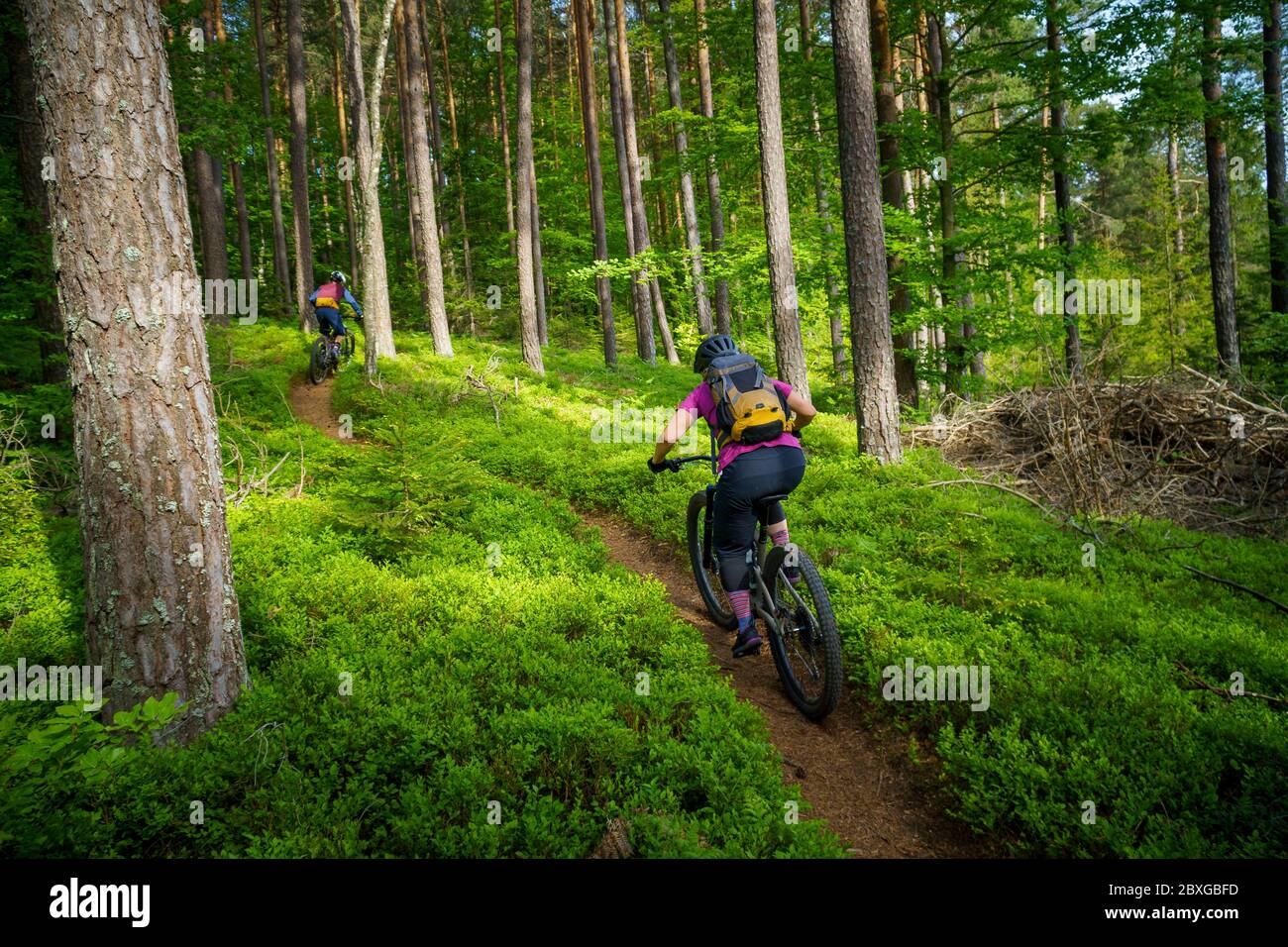Mann und Frau Mountainbiken durch den Wald, Klagenfurt, Kärnten, Österreich Stockfoto