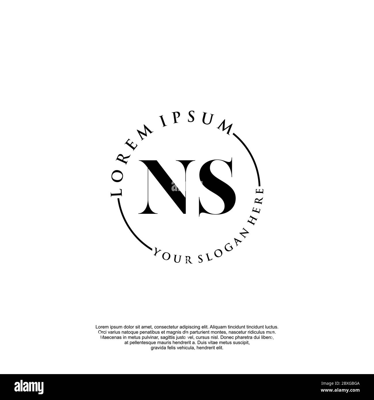 NS Initial Handwriting Logo Template Vektor Stock Vektor