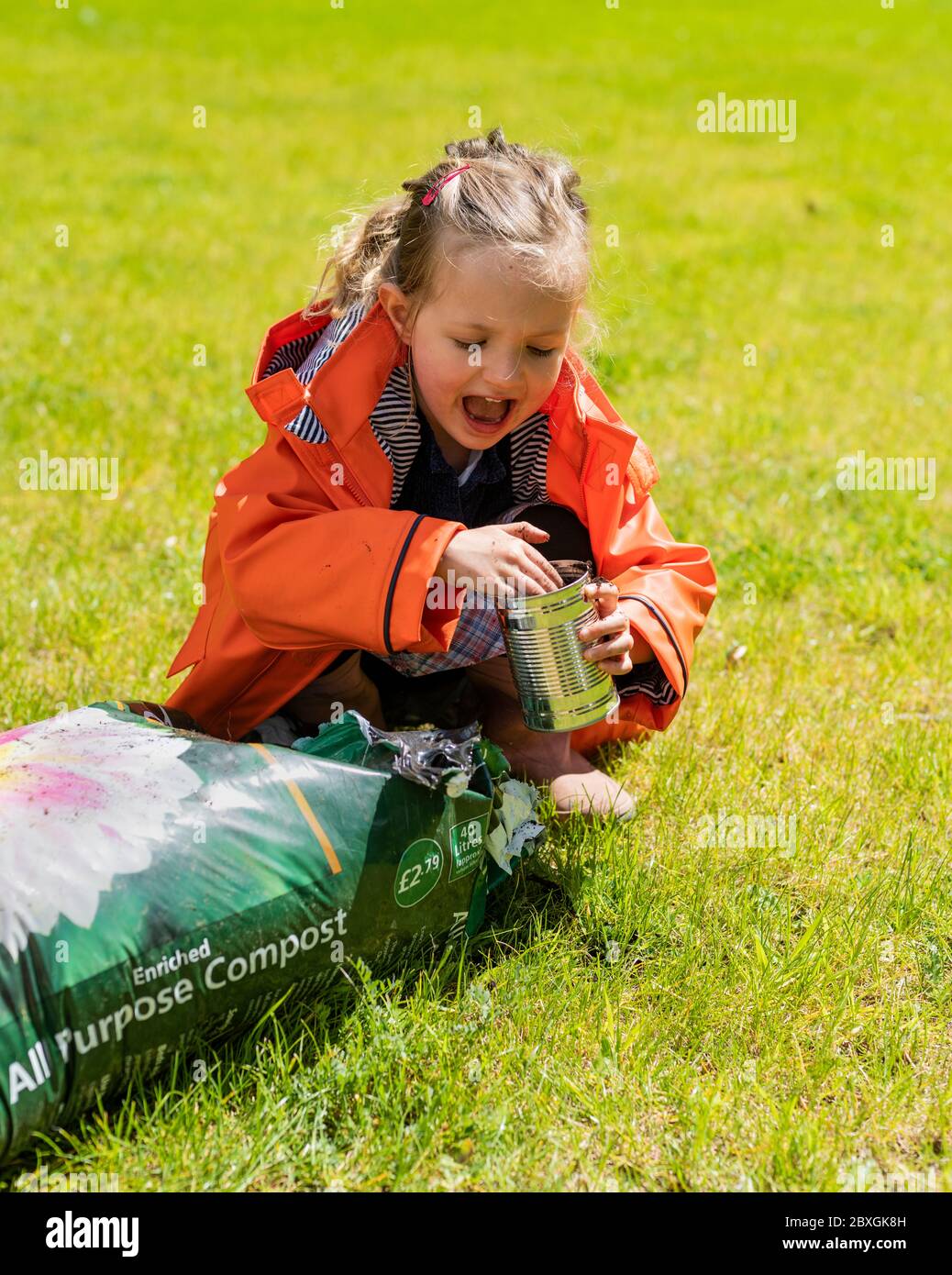 4-jähriges Mädchen Pflanzen und Gartenarbeit, Gurkenpflanzen Pflanzen, tragen orange / lila Regenmantel, sonnigen Tag, Vorschulkinder hilft im Garten Stockfoto