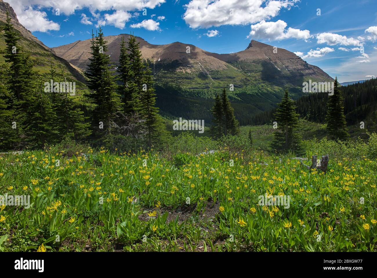 Schöne Aussicht auf Glacier National Park gehören gehen auf die Straße der Sonne Stockfoto