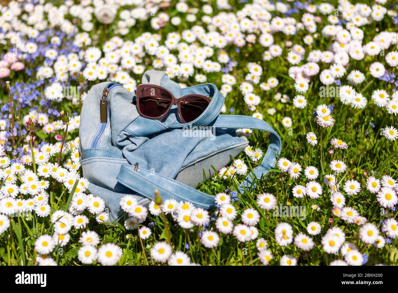Light Blue Damen Tasche Rucksack und Sonnenbrille liegen draußen auf einer Frühlingsblüte Wiese mit Gänseblümchen und Vergissmeinnicht. Das Konzept der Outdoor-recreati Stockfoto