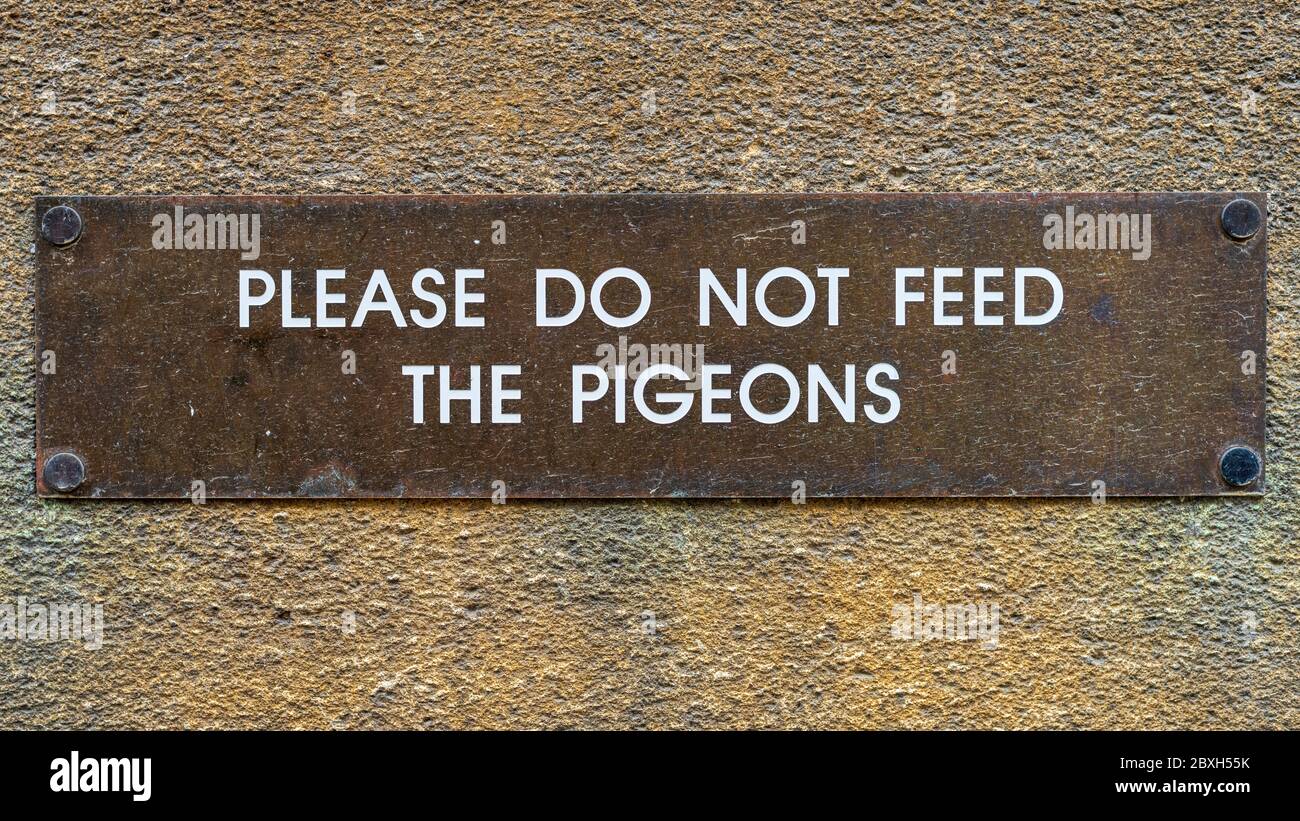 Bitte füttern Sie nicht die Tauben Zeichen Stockfoto