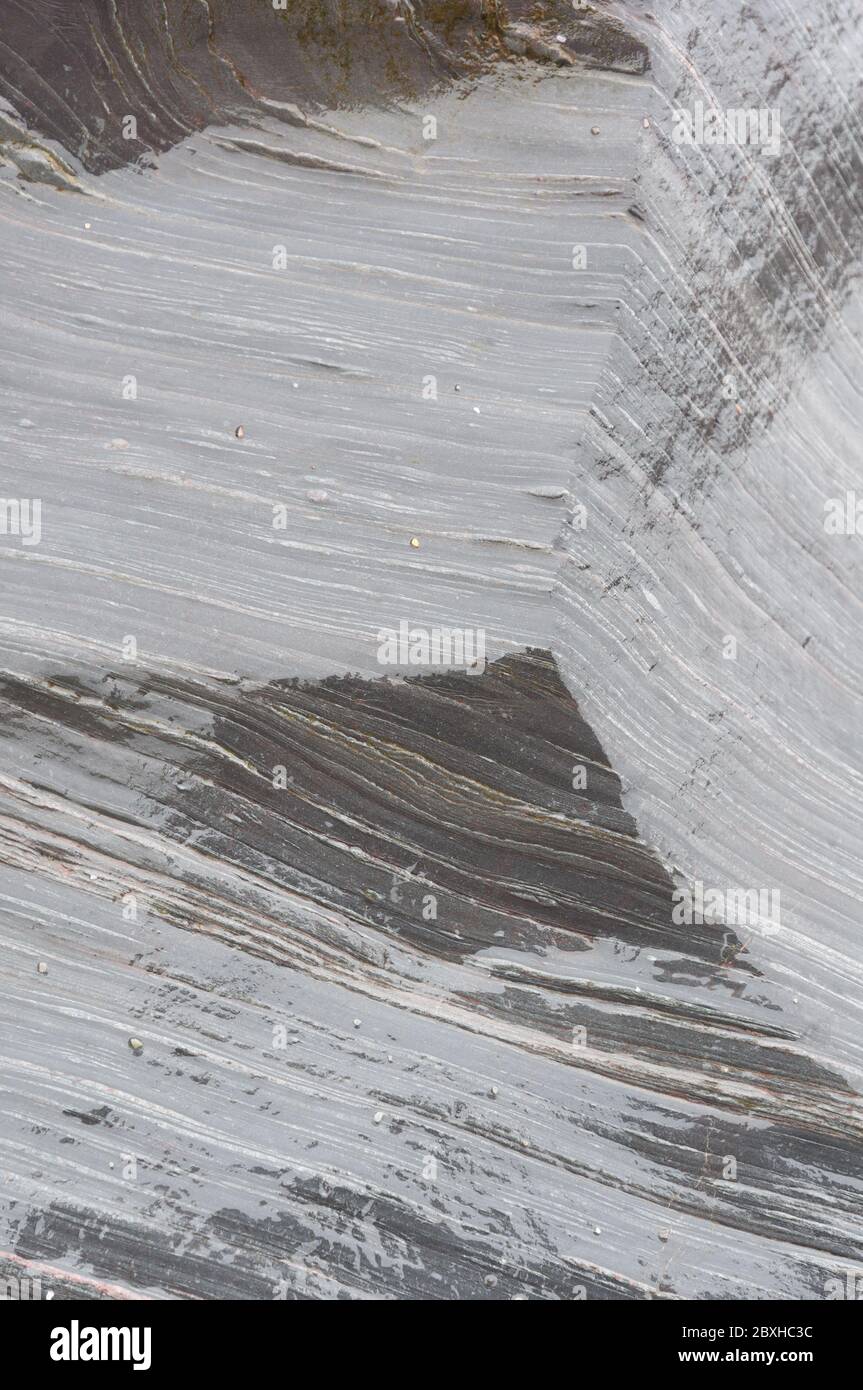 Scharf schräg abgewinkelte Linien in den Schichten der Gesteine der Süddevon-Küste werden von der nassen Oberfläche nach dem Regen aufgedeckt Stockfoto