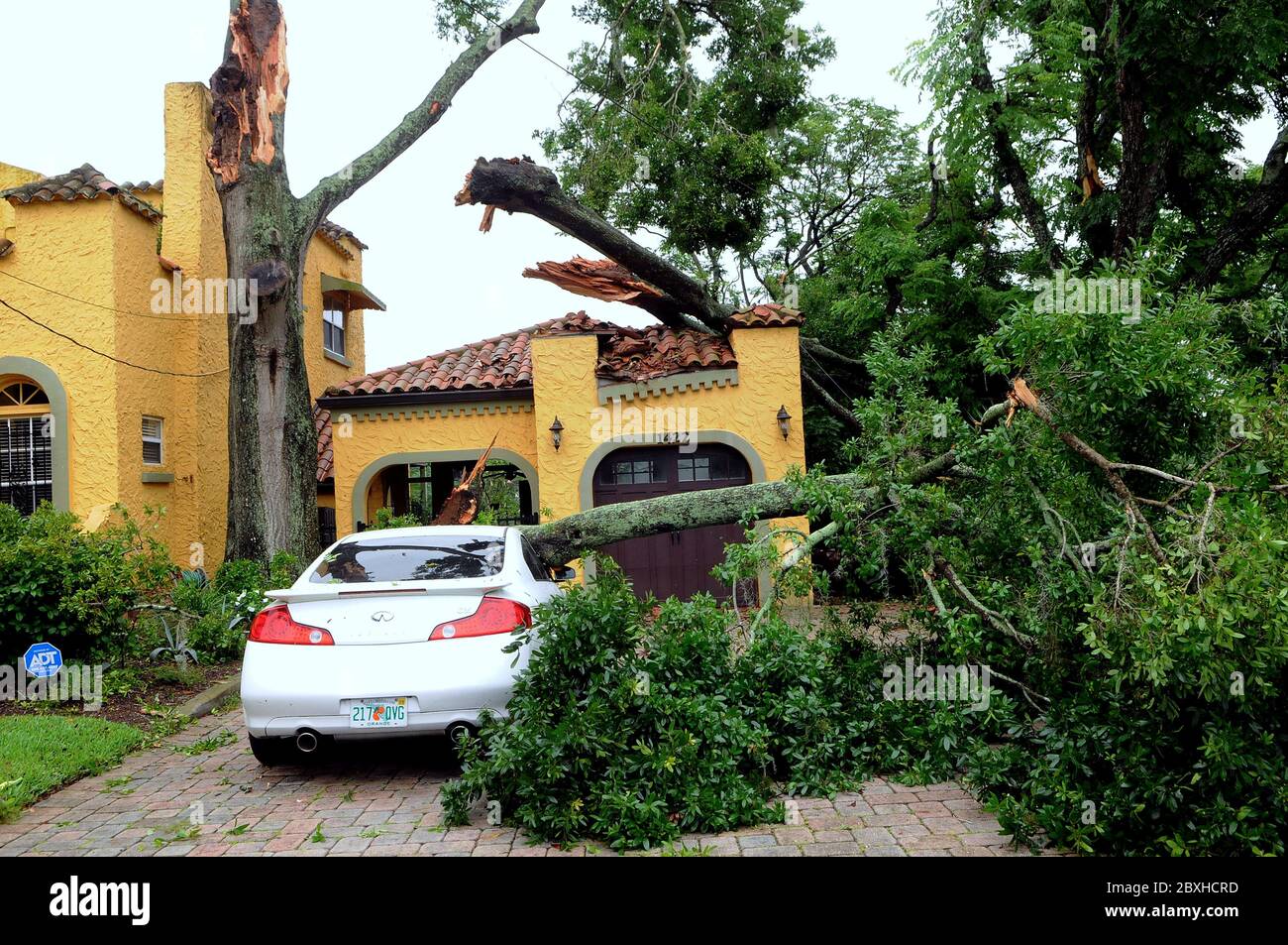 Orlando, Usa. Juni 2020. 7. Juni 2020 - Orlando, Florida, USA - EINE Garage und ein Auto werden von einem gefallenen Baum beschädigt, nachdem ein Tornado, der vom Tropensturm Cristobal am 6. Juni 2020 durch Orlando, Florida, geschürt wurde, passiert ist. Kredit: Paul Hennessy/Alamy Live News Stockfoto