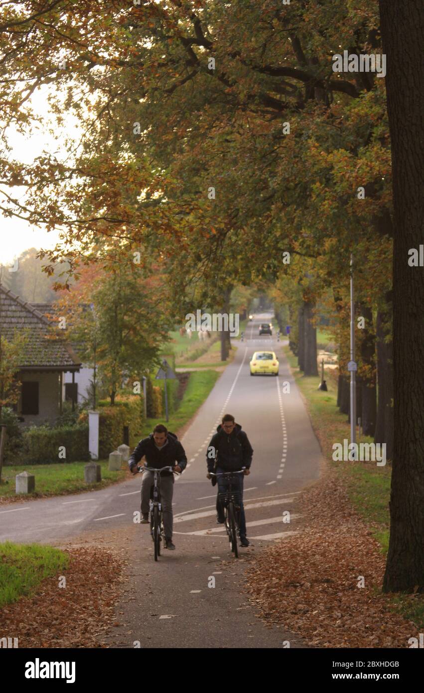 Zwei Jungen, die nach der Schule auf einer von Bäumen gesäumten Straße Fahrrad fahren, außerhalb von Eindhoven, Niederlande Stockfoto