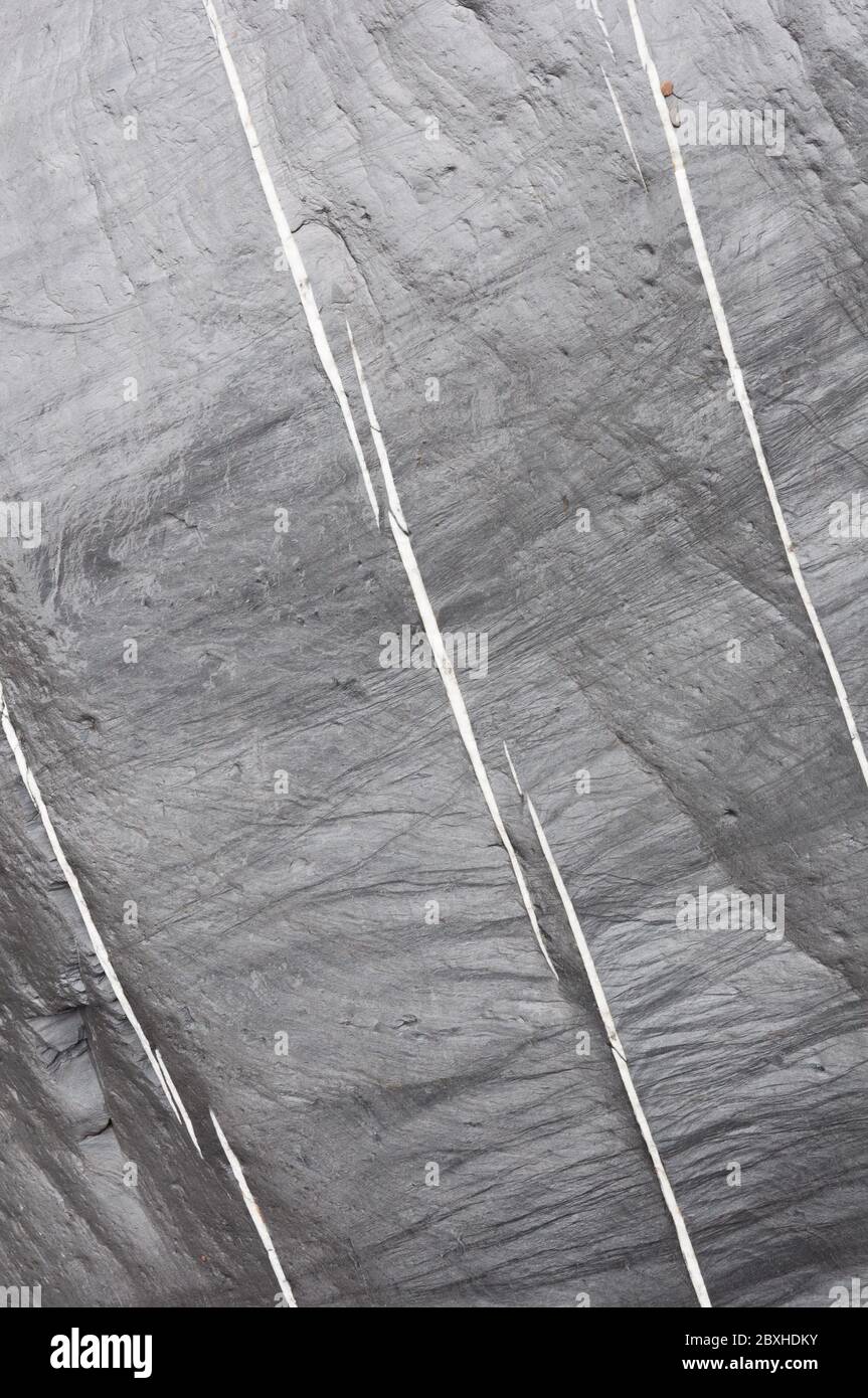 Drei gebrochene weiße Linien von eingebettetem Quarz verlaufen parallel über ein feuchtes graues Gestein. Stockfoto