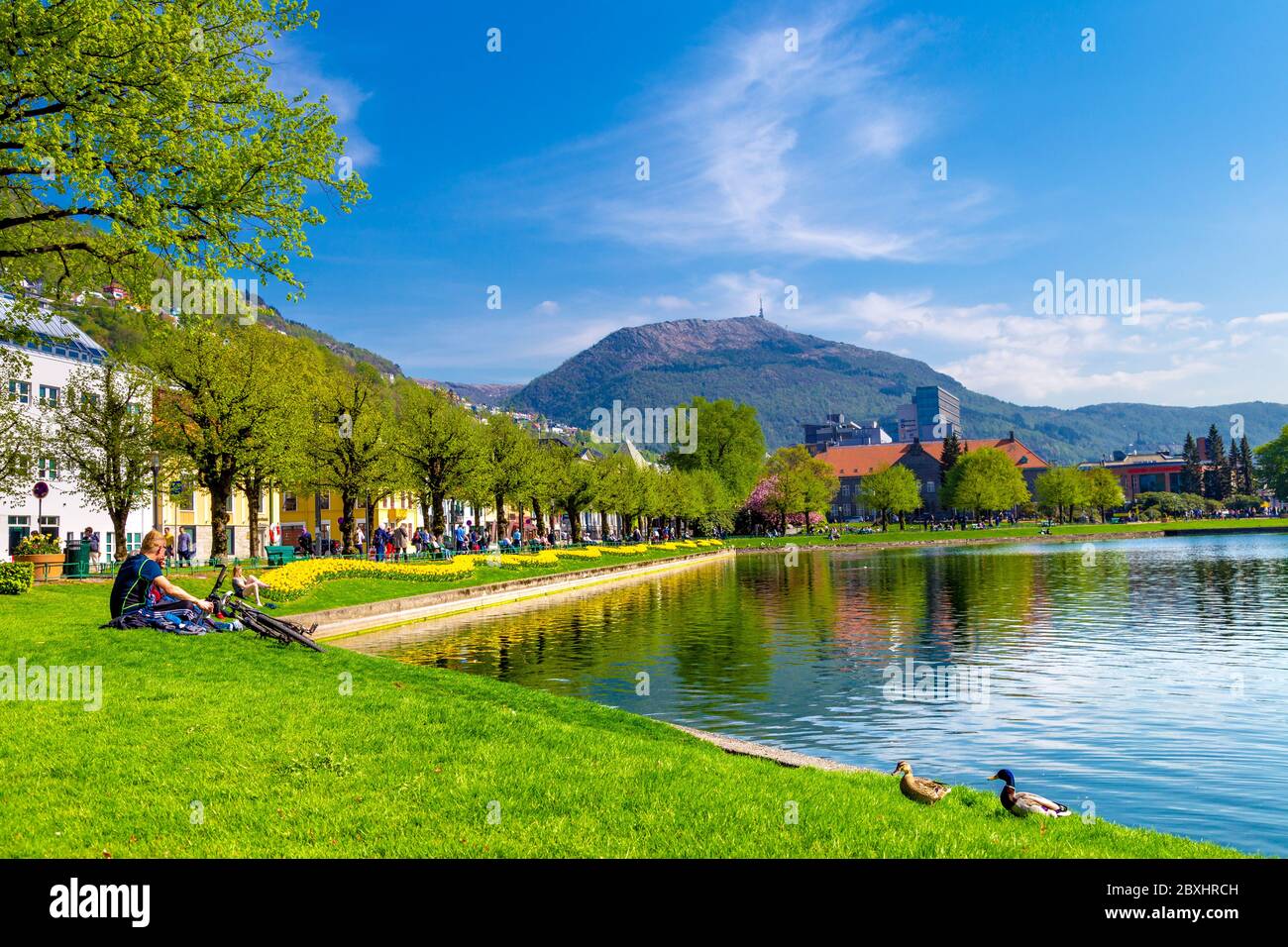 Menschen entspannen auf dem Rasen mit Fahrrädern von Lille Lungegårdsvannet im Frühling in Bergen, Norwegen Stockfoto