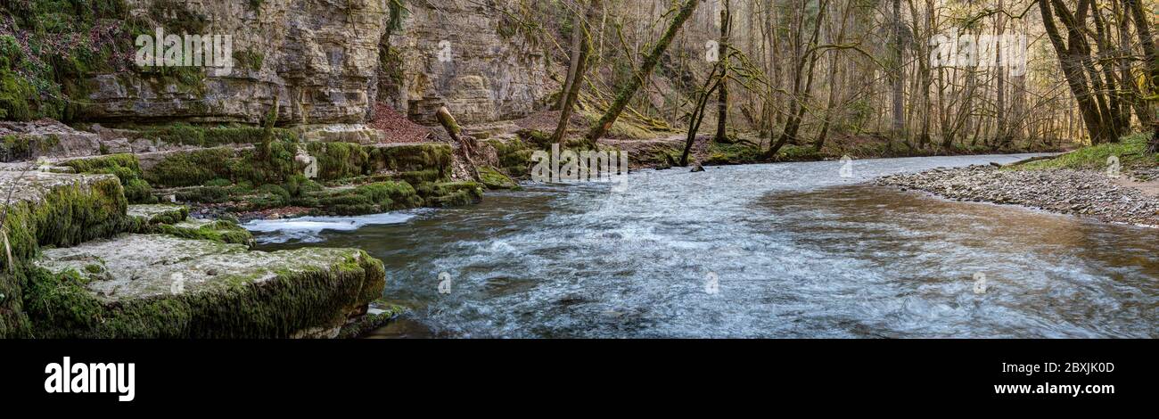 Die Wutach hat sich tief in die Felsen gegraben und verändert immer noch ständig das Flussbett und die Talschlucht. Stockfoto