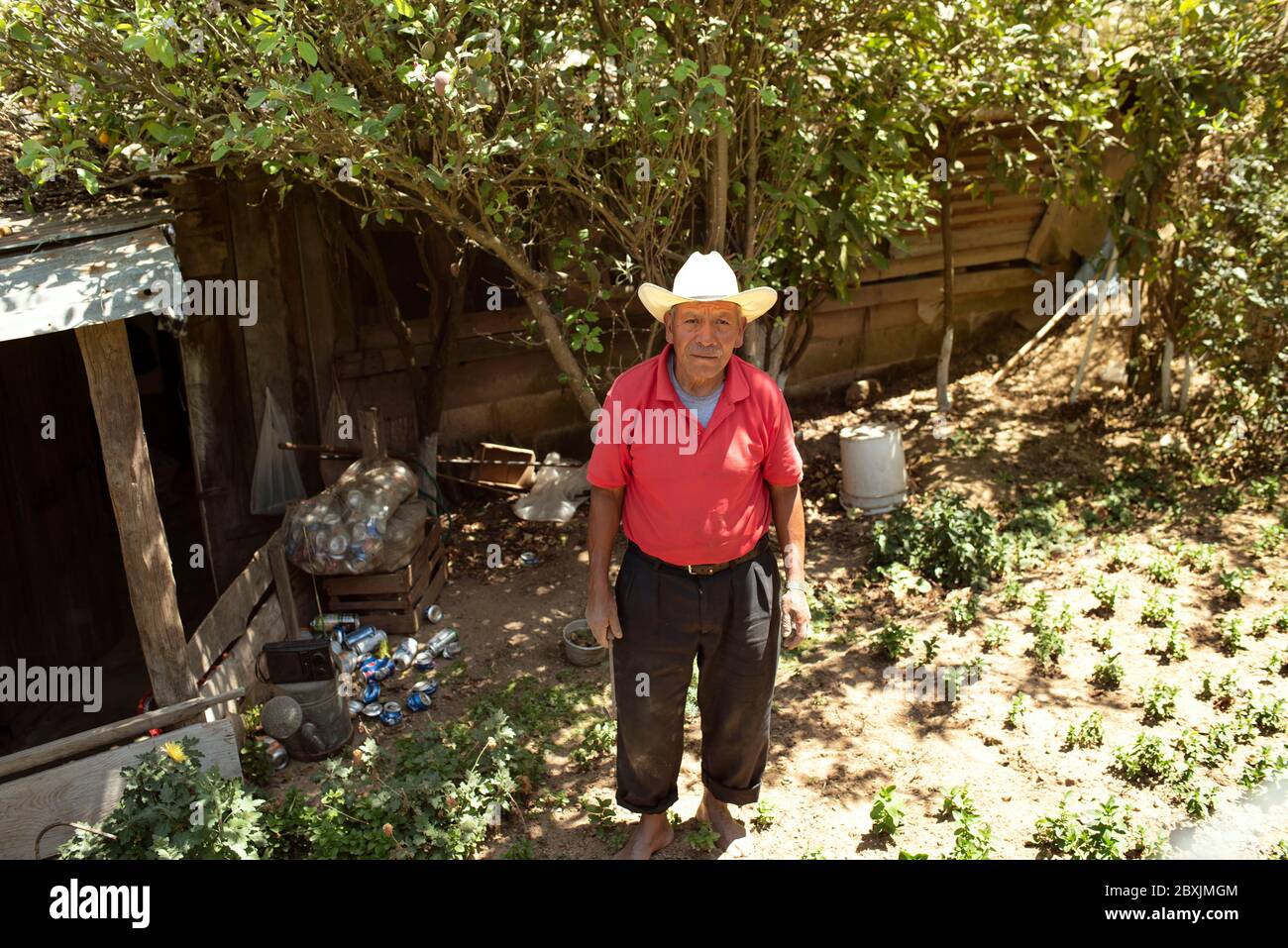 Porträt eines Latino-Mannes, der Sombrero trägt, während er in seinem kleinen Garten arbeitet. Almolonga, Guatemala Stockfoto