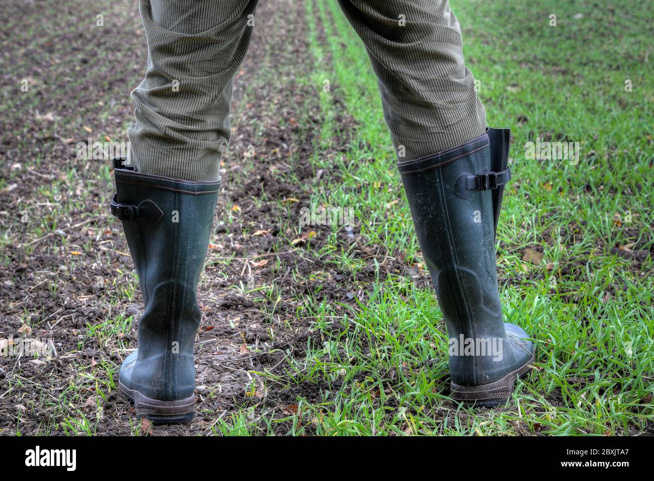 Zwischen den Feldern. Ein Bauer steht mit seinen Gummistiefeln auf zwei verschiedenen Feldern. Stockfoto