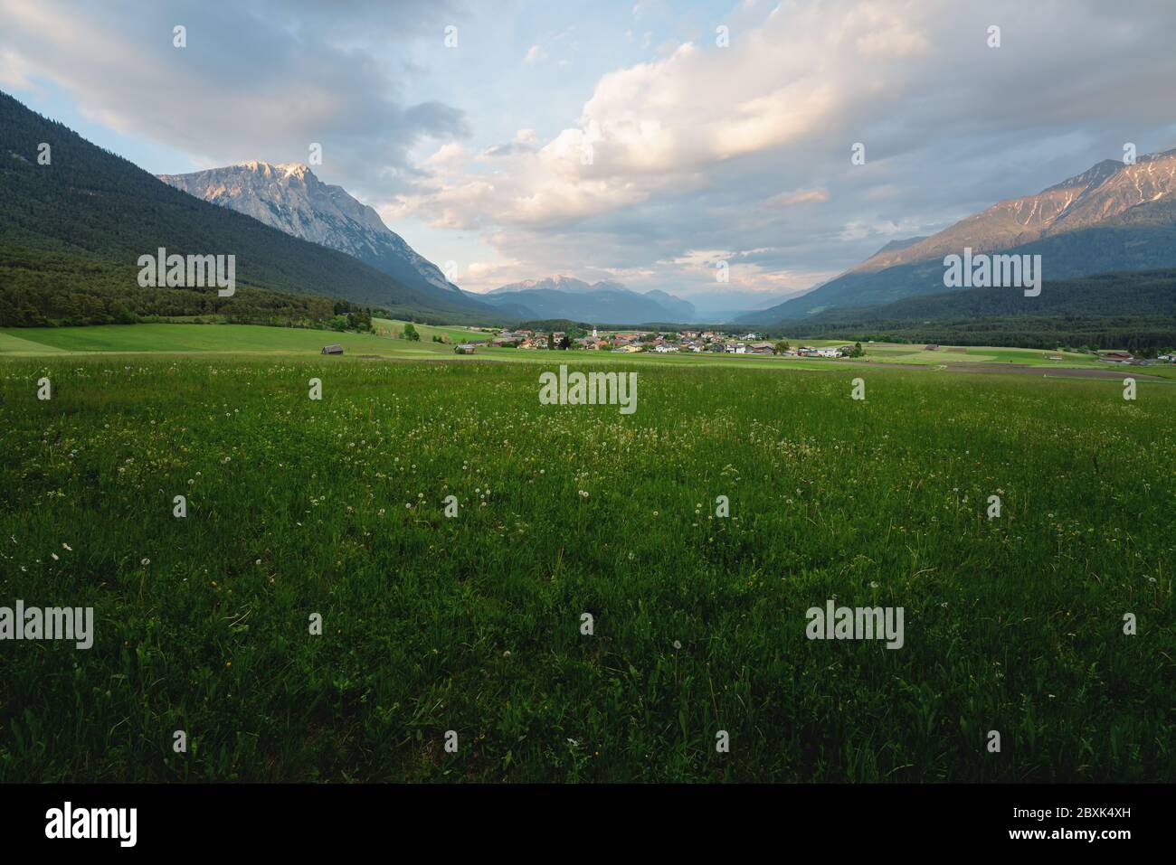 Panoramablick über Blumenwiese auf das Dorf Wildermieming bei Sonnenuntergang, Tirol, Österreich Stockfoto