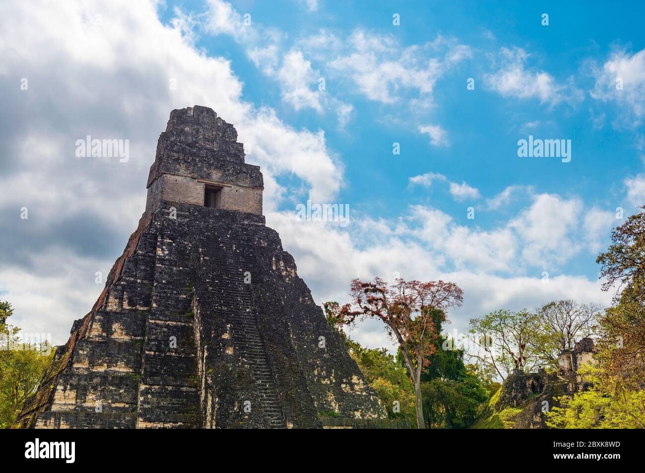Tempel 1 oder Tempel des Großen Jaguar maya Pyramide in Tikal, Guatemala. Stockfoto