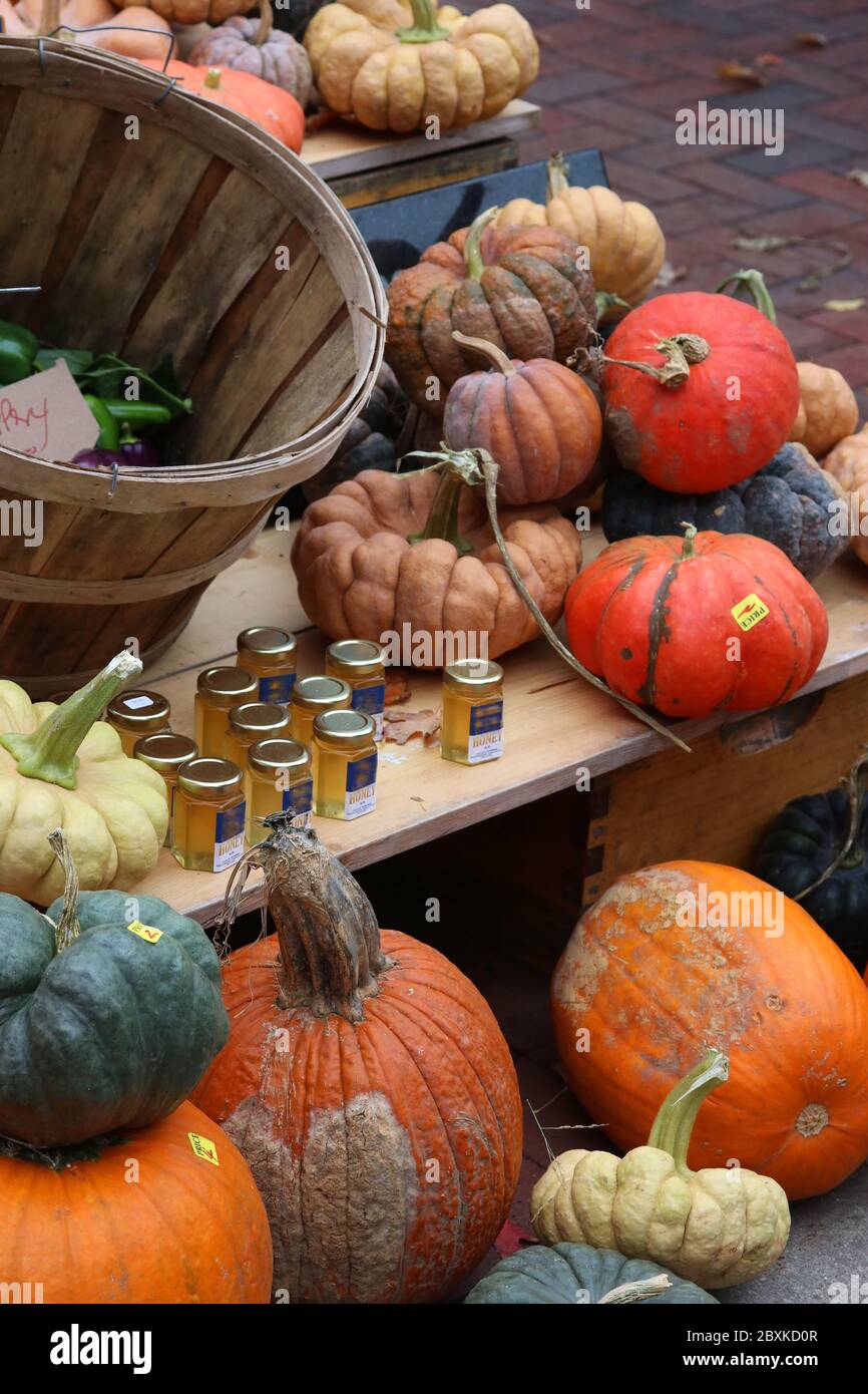 Bunte Kürbisse und Honiggläser zum Verkauf auf dem Herbstmarkt der Saison. Hintergrund der Landwirtschaft. Erntekonzept. Stockfoto