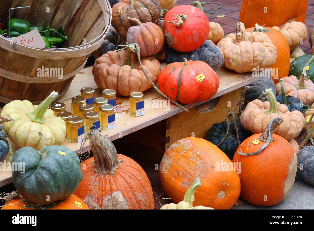 Bunte Kürbisse und Honiggläser zum Verkauf auf dem Herbstmarkt der Saison. Landwirtschaft, Landwirtschaft und kleine Unternehmen Hintergrund. Erntekonzept. Stockfoto