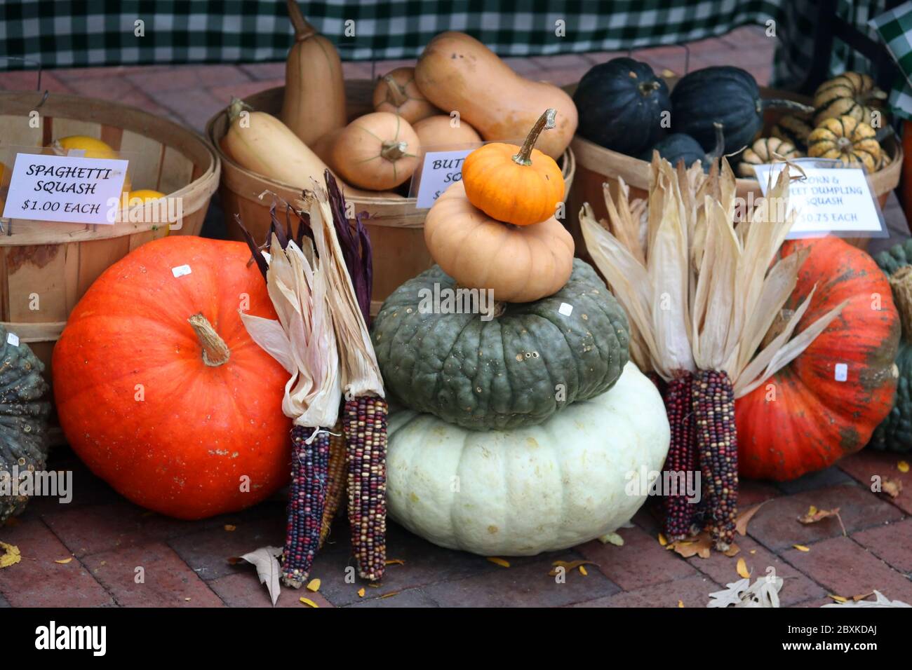 Bunte Kürbisse und indischer Mais zum Verkauf für saisonale Herbstferien Dekorationen. Hintergrund der Landwirtschaft. Erntekonzept. Stockfoto