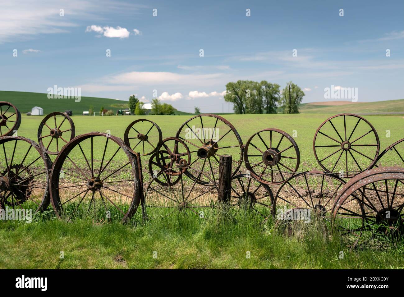 Ein Zaun aus alten Metall verrosteten Rädern. Grüne Hügel und ein blauer Wolkenhimmel sind im Hintergrund. Aufgenommen im Palouse, Washington. Stockfoto