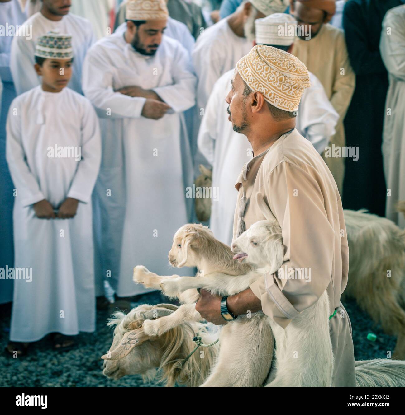 Nizwa, Oman, 2. Dezember 2016: Ziegenverkäufer auf dem Freitagsziegenmarkt in Nizwa, Oman Stockfoto