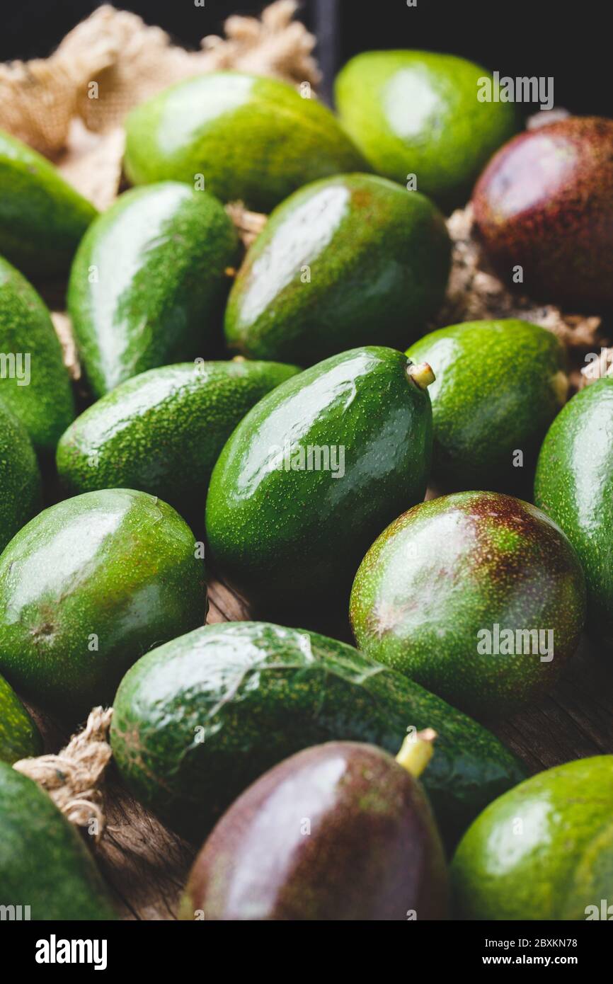 Frische Avocado-gesunde Früchte Stockfoto