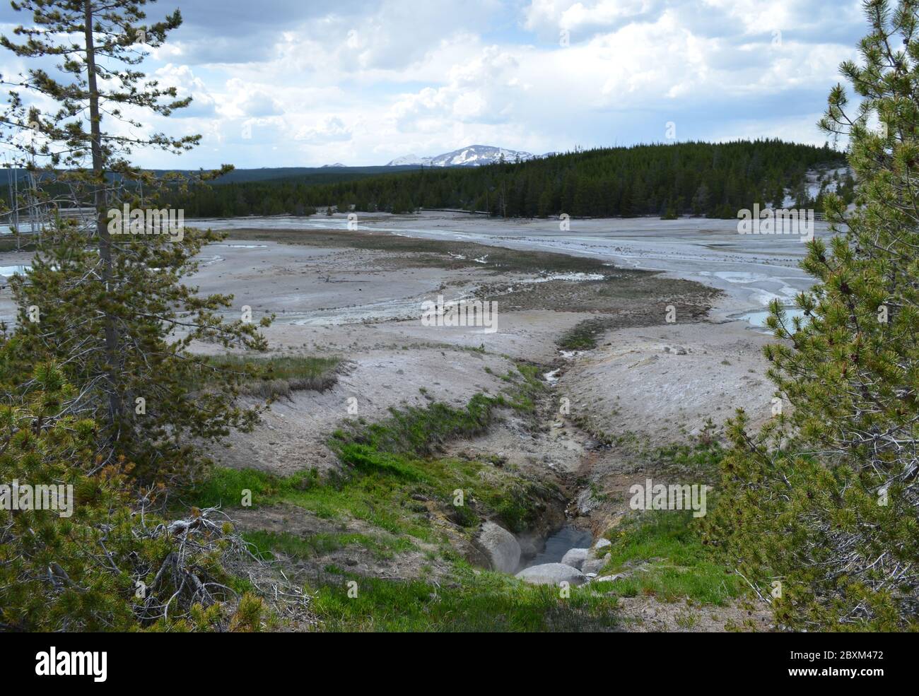 Frühling im Yellowstone National Park: Basin Geyser im Vordergrund des Norris Geyser Basin mit Mount Holmes der Gallatin Range in The Distance Stockfoto