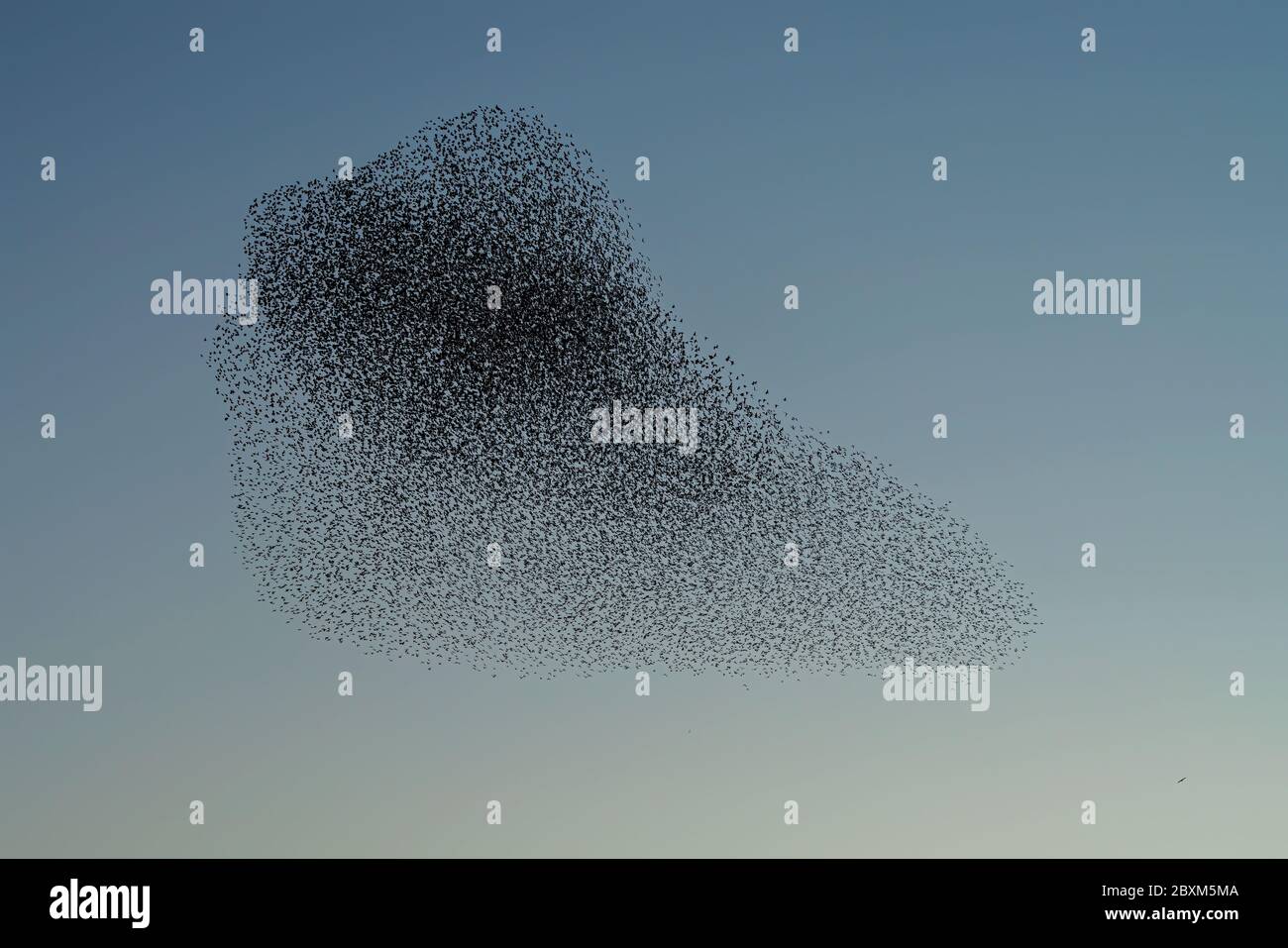 Melden Sie eine nicht autorisierte Verwendung, bevor Sie… starten Überprüfen Sie, dass es nicht eine Lizenz an Ort und Stelle bereits durch einen Blick auf Ihre Verkaufshistorie in My Alamy. Nicht Vergessen Stockfoto