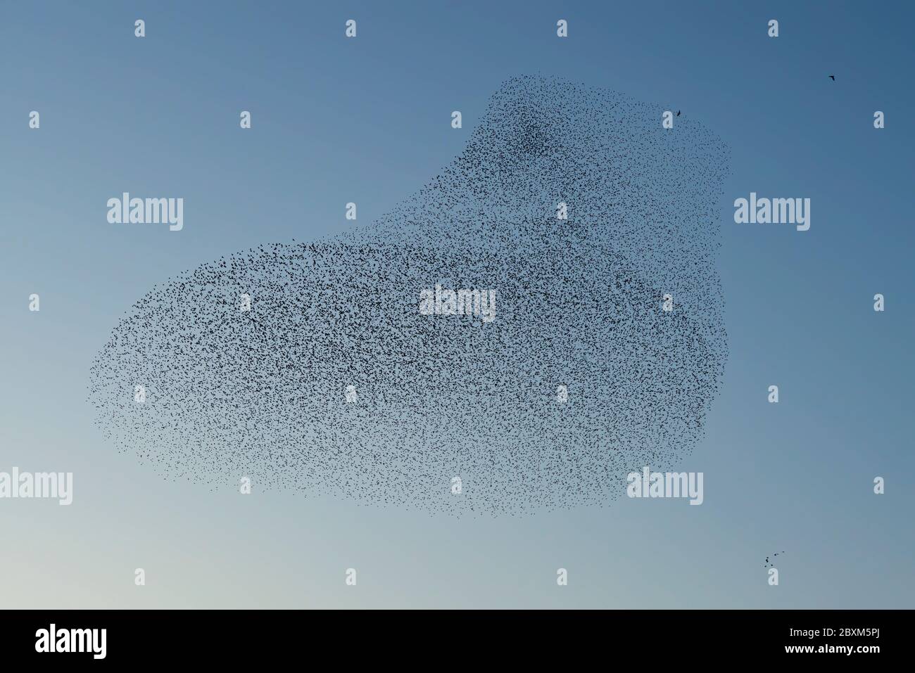 Melden Sie eine nicht autorisierte Verwendung, bevor Sie… starten Überprüfen Sie, dass es nicht eine Lizenz an Ort und Stelle bereits durch einen Blick auf Ihre Verkaufshistorie in My Alamy. Nicht Vergessen Stockfoto