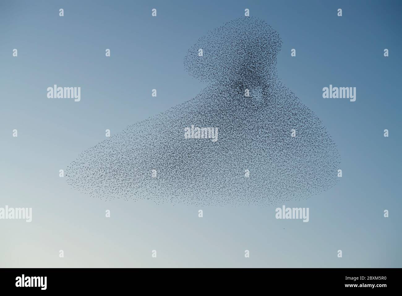 Melden Sie eine nicht autorisierte Verwendung, bevor Sie… starten Überprüfen Sie, dass es nicht eine Lizenz an Ort und Stelle bereits durch einen Blick auf Ihre Verkaufshistorie in My Alamy. Nicht Vergessen Stockfoto