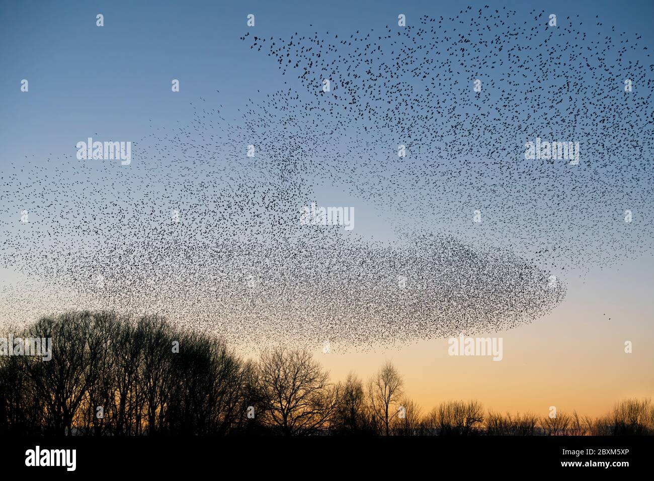 Melden Sie eine nicht autorisierte Verwendung, bevor Sie… starten Überprüfen Sie, dass es nicht eine Lizenz an Ort und Stelle bereits durch einen Blick auf Ihre Verkaufshistorie in My Alamy. Nicht Vergessen Stockfoto