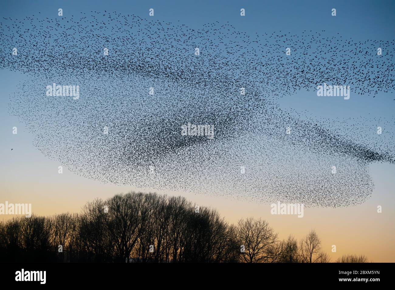 Melden Sie eine nicht autorisierte Verwendung, bevor Sie… starten Überprüfen Sie, dass es nicht eine Lizenz an Ort und Stelle bereits durch einen Blick auf Ihre Verkaufshistorie in My Alamy. Nicht Vergessen Stockfoto