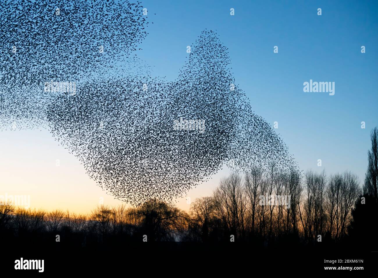 Melden Sie eine nicht autorisierte Verwendung, bevor Sie… starten Überprüfen Sie, dass es nicht eine Lizenz an Ort und Stelle bereits durch einen Blick auf Ihre Verkaufshistorie in My Alamy. Nicht Vergessen Stockfoto