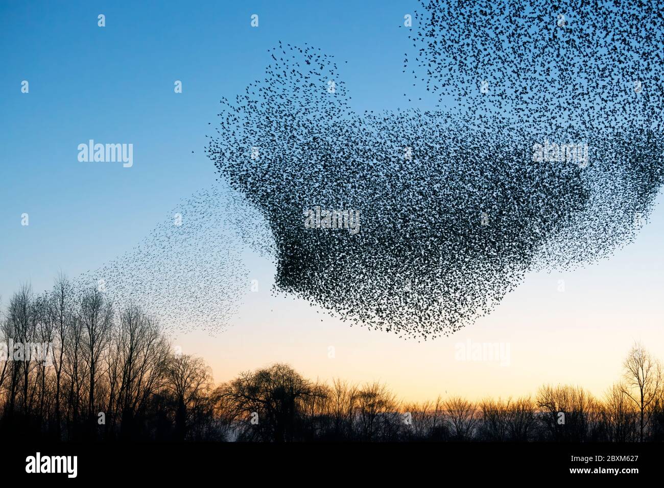 Melden Sie eine nicht autorisierte Verwendung, bevor Sie… starten Überprüfen Sie, dass es nicht eine Lizenz an Ort und Stelle bereits durch einen Blick auf Ihre Verkaufshistorie in My Alamy. Nicht Vergessen Stockfoto