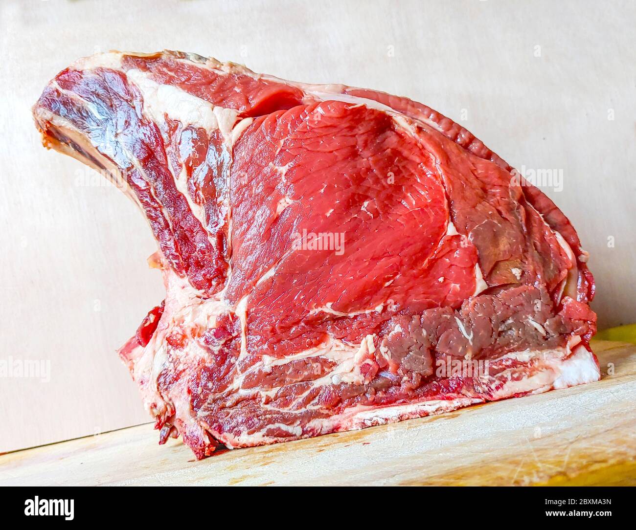 Rindersteak auf dem Knochen, gut gereift, bereit für Ihr Barbecue und Mittagessen, Florentiner Steak, Protein für Ihre Gesundheit Stockfoto