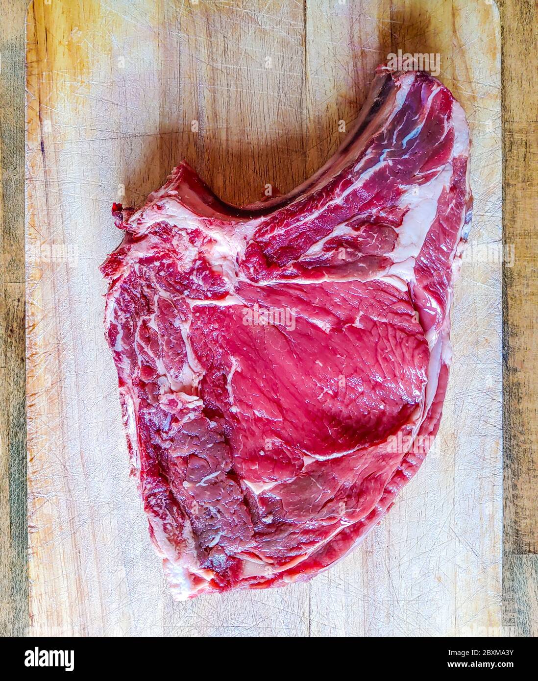 Rindersteak auf dem Knochen, gut gereift, bereit für Ihr Barbecue und Mittagessen, Florentiner Steak, Protein für Ihre Gesundheit Stockfoto