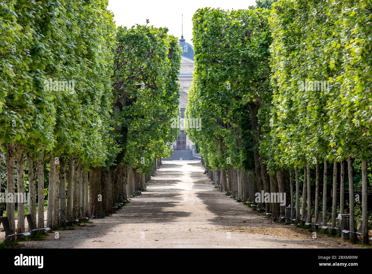In die stadt paris jardin des plantes von paris Fotos und