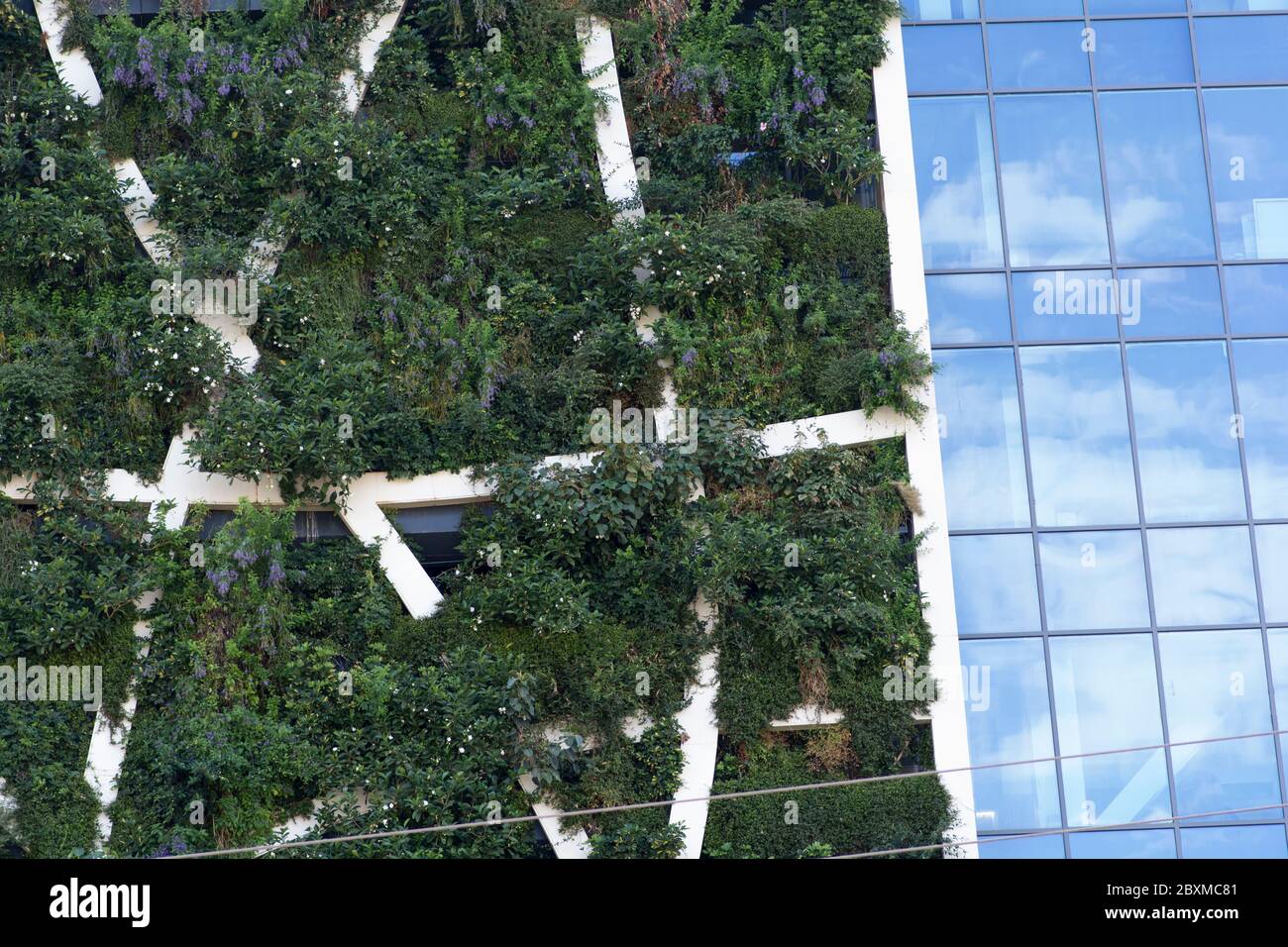 Green Building - umweltfreundliche Architektur, ein Gebäude, das Pflanzen kombiniert, Tel Aviv, Israel Stockfoto