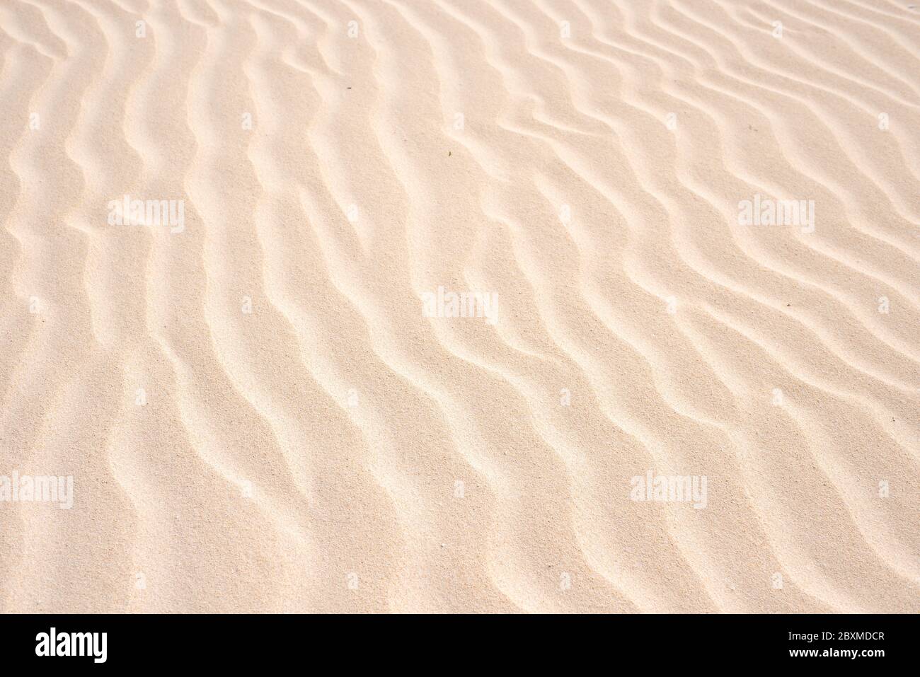 Goldener Sand in Düne, Hintergrund Sand in der Wüste Stockfoto
