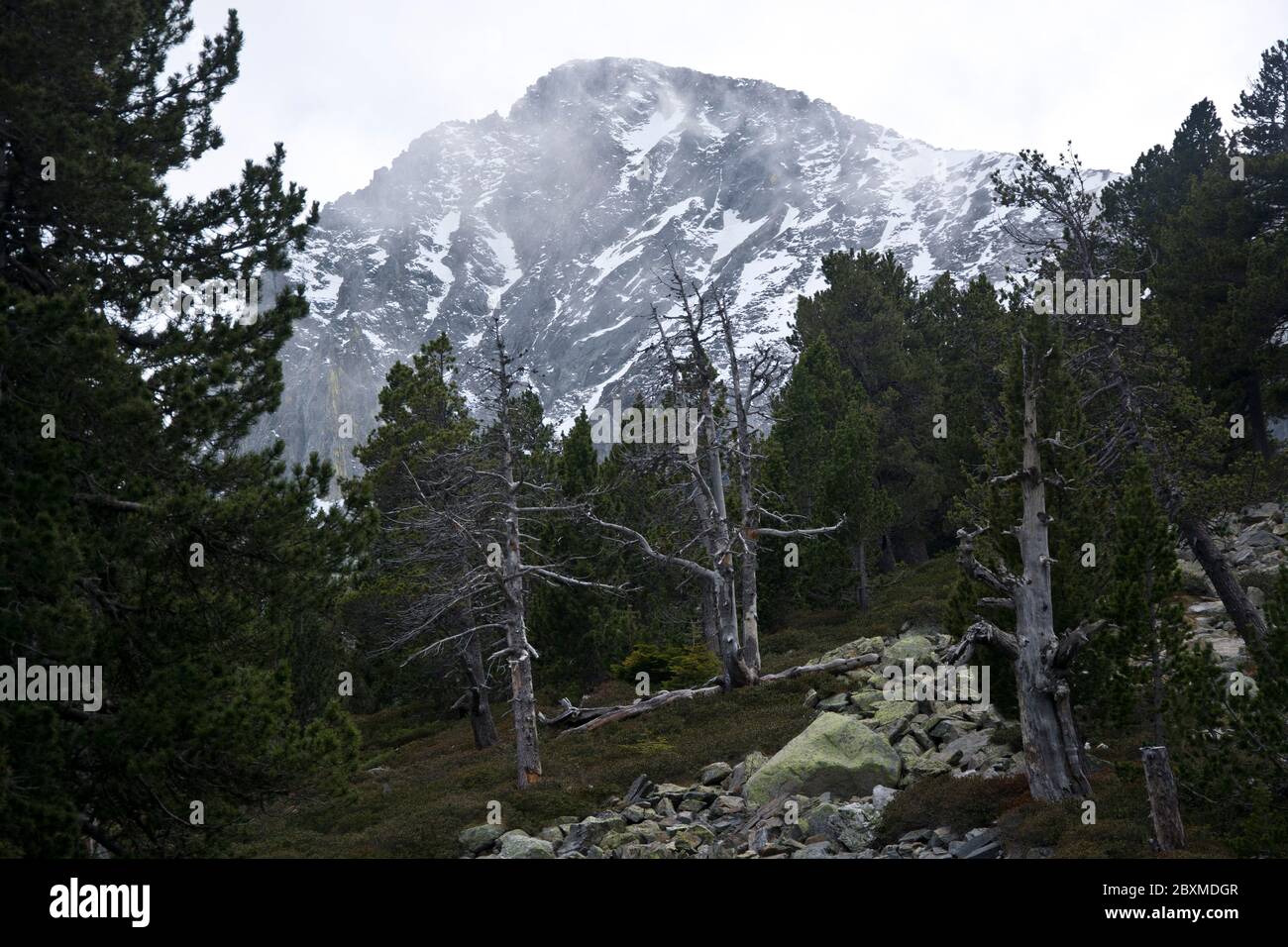 Eindrück aus dem Naturschutzgebiet Cortalets, klassiert als Grand Site de France, am Fuss des Mont Canigou Stockfoto