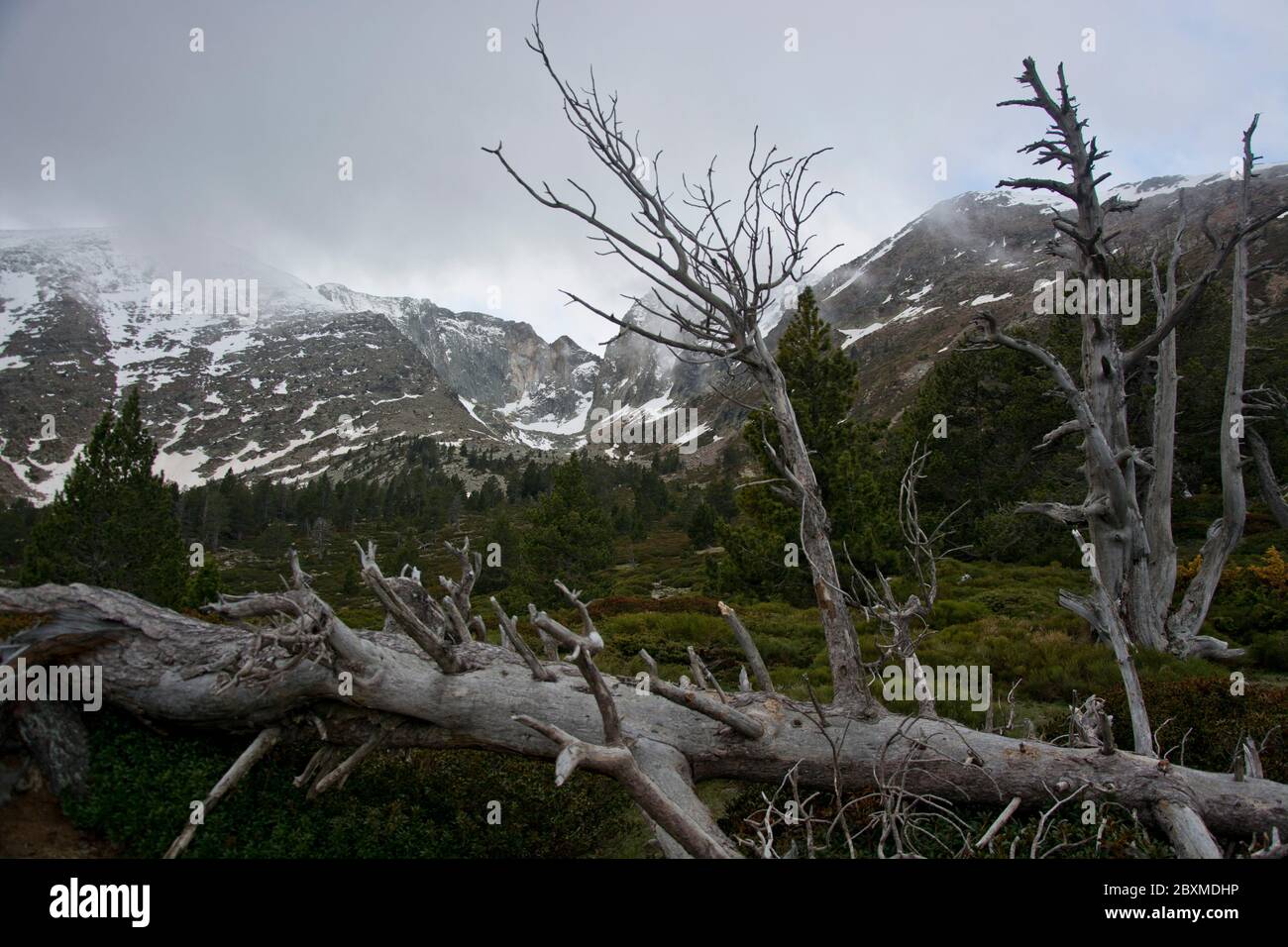 Eindrück aus dem Naturschutzgebiet Cortalets, klassiert als Grand Site de France, am Fuss des Mont Canigou Stockfoto