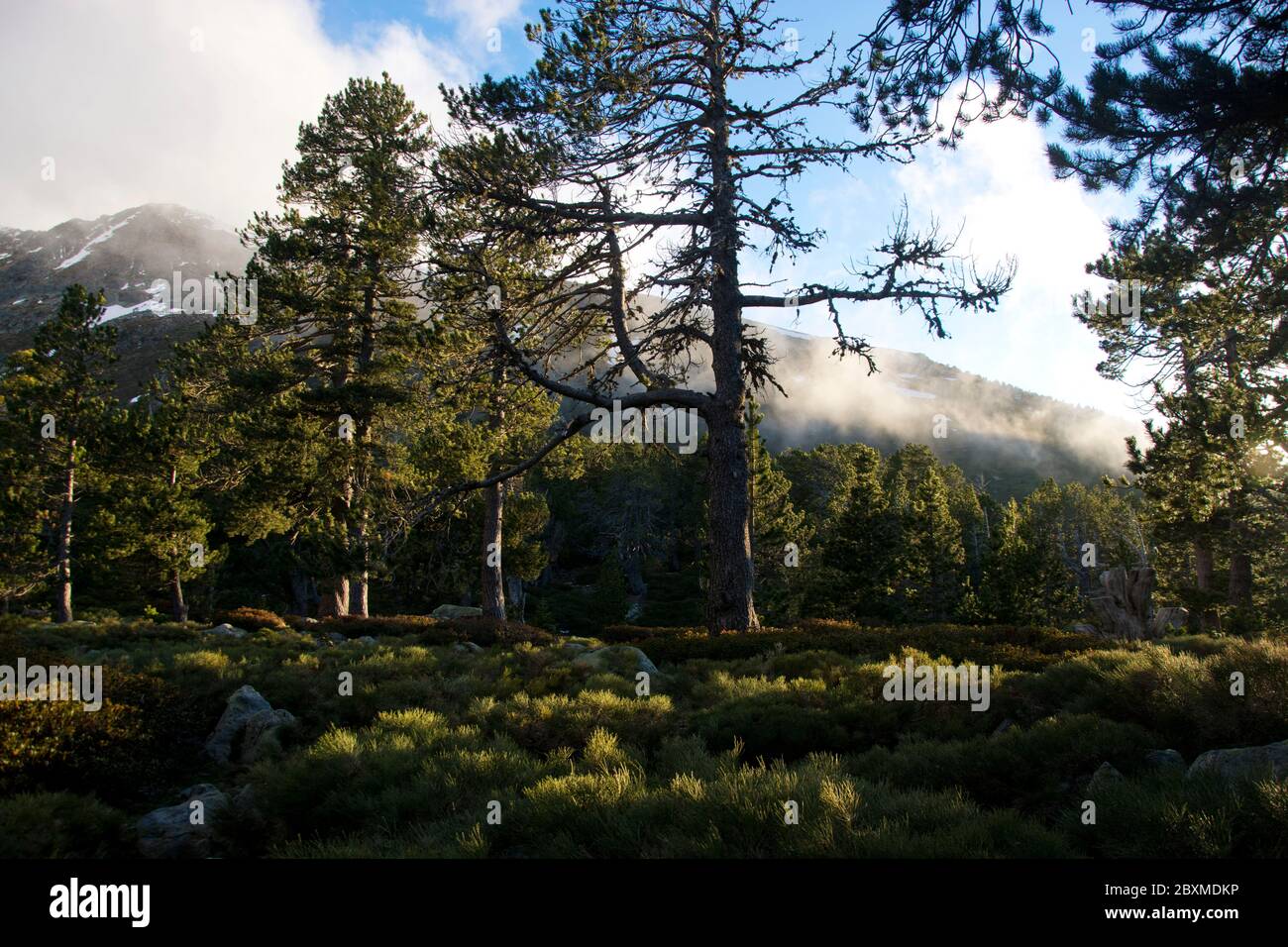 Eindrück aus dem Naturschutzgebiet Cortalets, klassiert als Grand Site de France, am Fuss des Mont Canigou Stockfoto