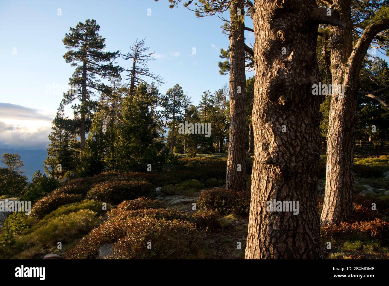 Eindrück aus dem Naturschutzgebiet Cortalets, klassiert als Grand Site de France, am Fuss des Mont Canigou Stockfoto