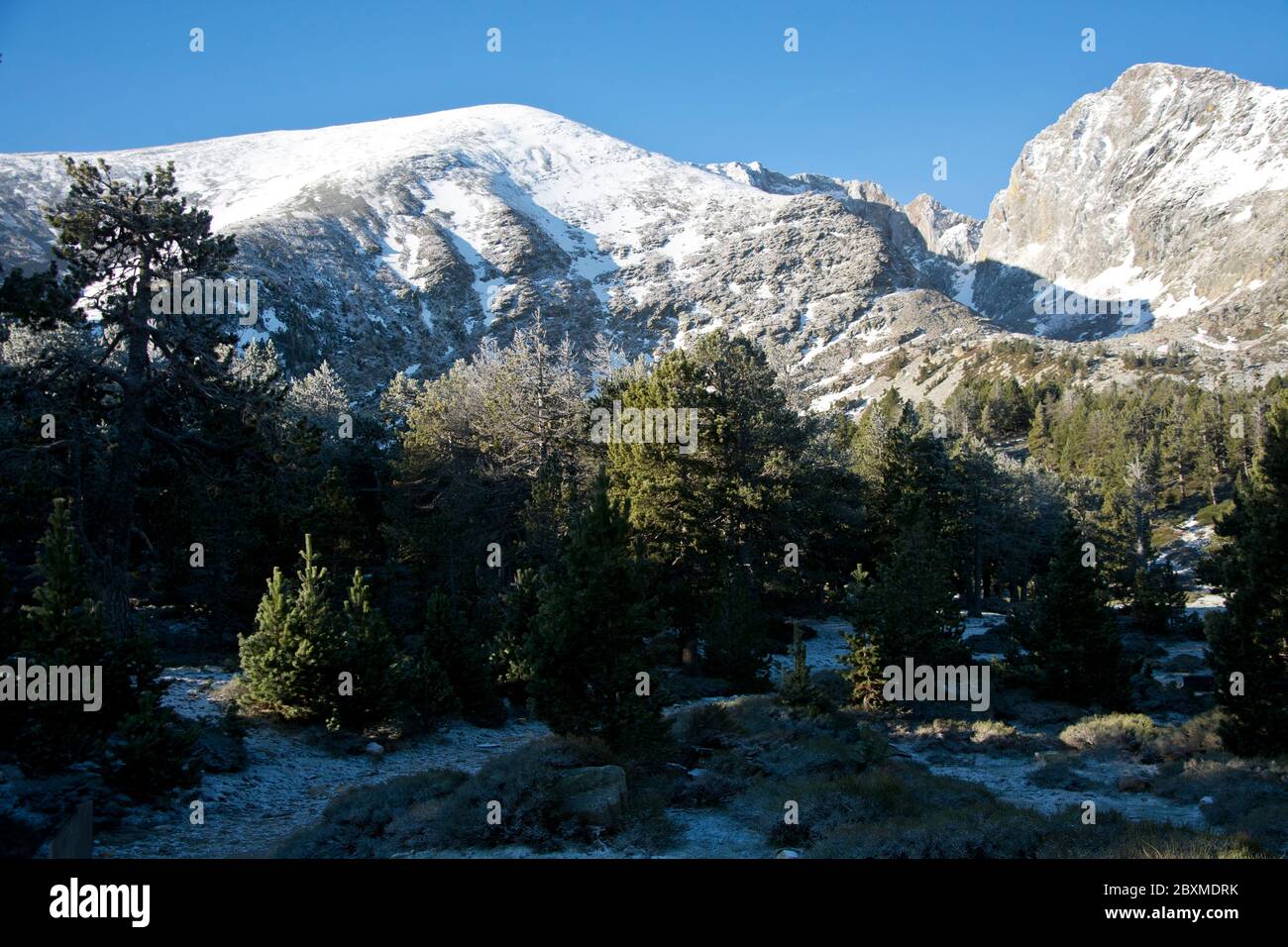 Der frisch beschickte Canigou an einem kalten Frühlingsmorgen in den Pyrenäen Stockfoto