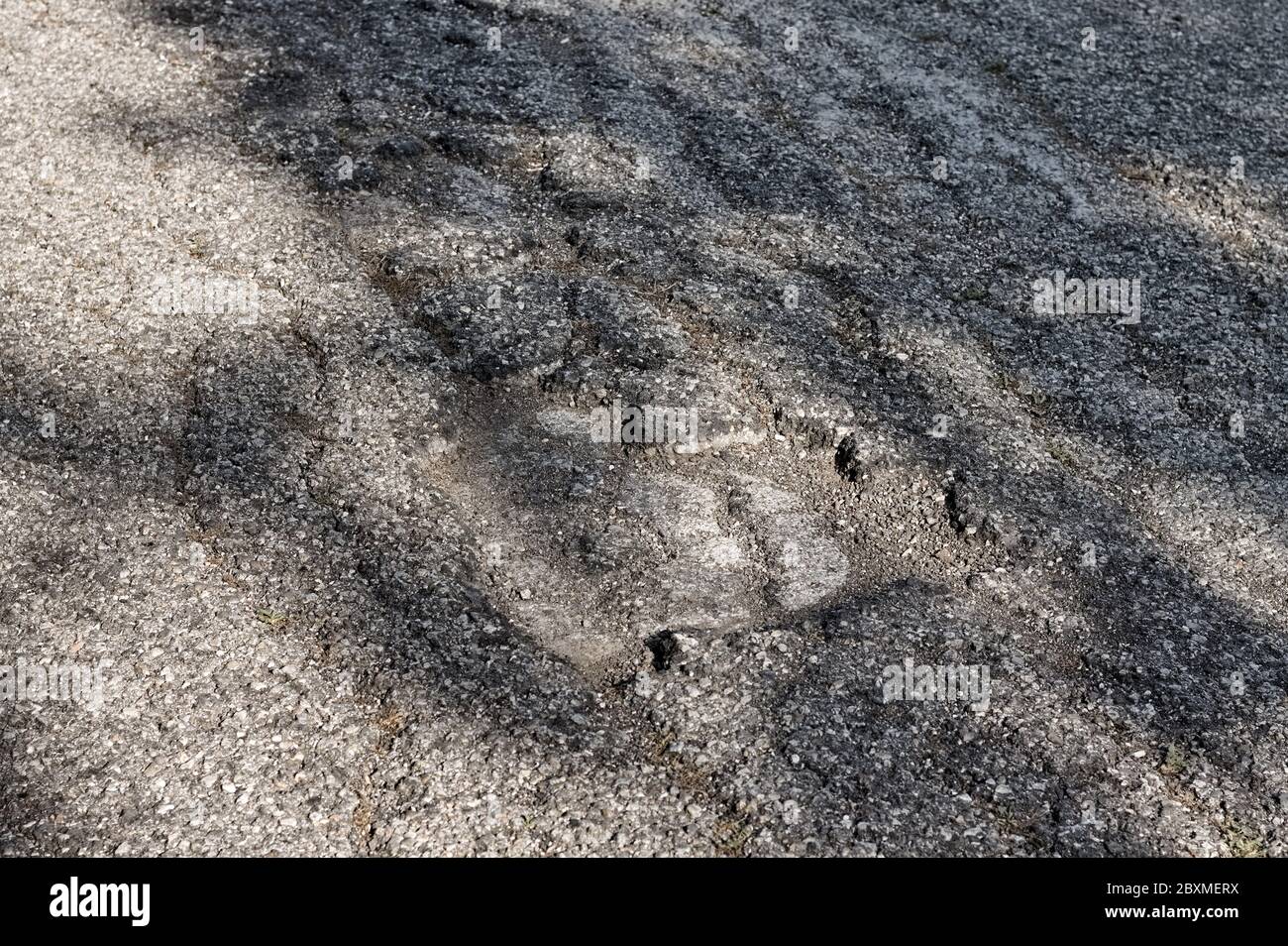 'Krokodilriss' ist eine Asphaltstrassen, die am häufigsten durch einen Ausfall der Oberfläche aufgrund von Verkehrslasten verursacht wird (Pesaro, Italien, Europa) Stockfoto