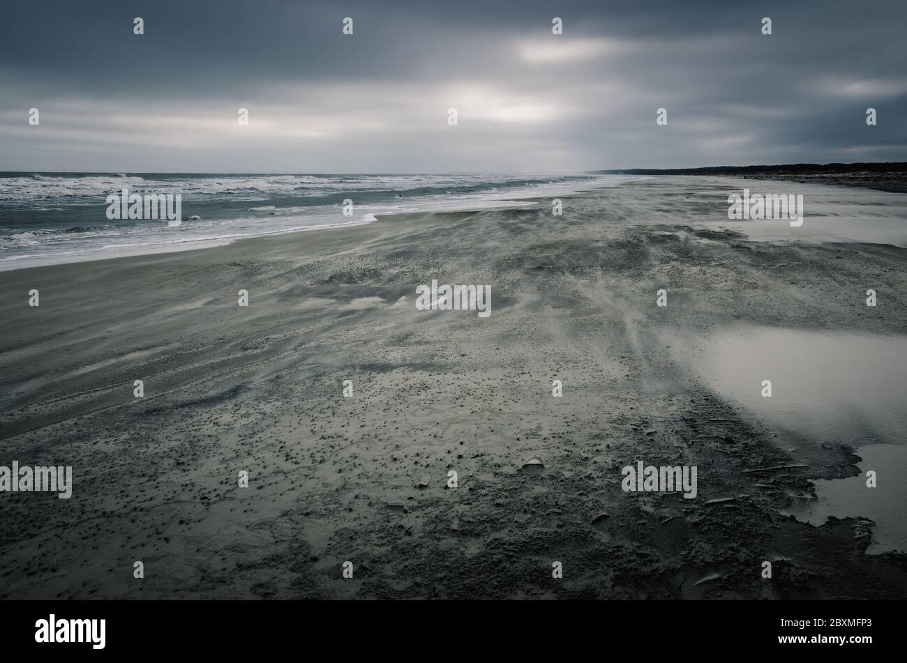 Küstendünen auf Cumberland Island, Georgia Stockfoto