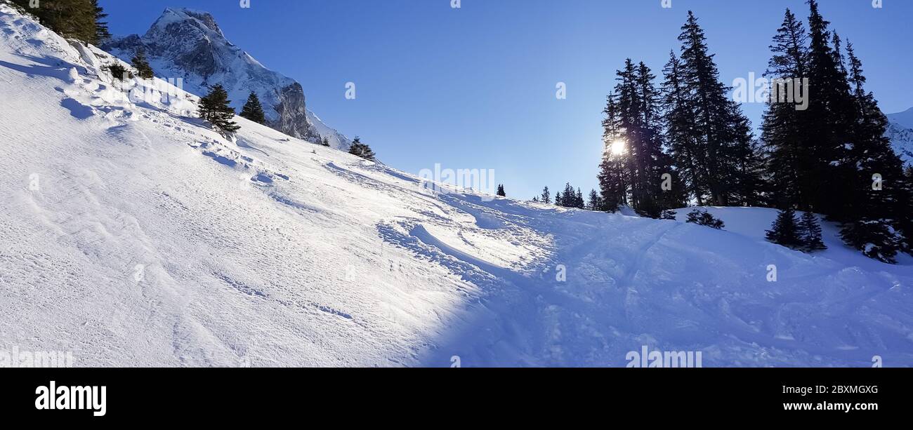 Naturpark Gantrisch im Winter schneebedeckte Bergkette im Kanton Bern, Berner Oberland 