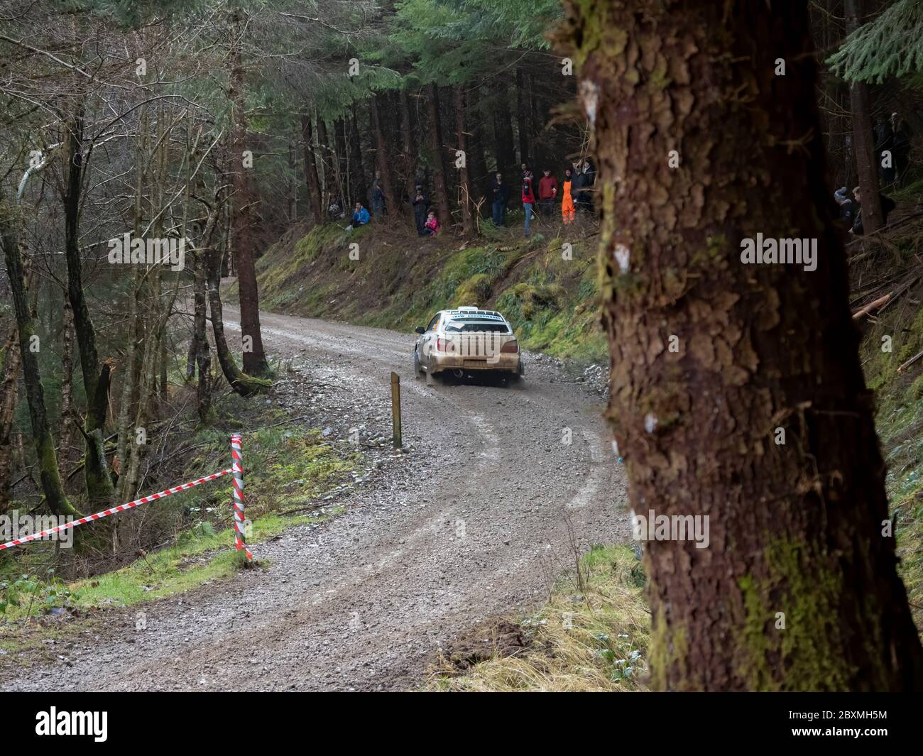 Glen Urquhart, Highland, Schottland, 7. März 2020. Rallye-Auto, das an der Coogie Urquhart Snowman Rally 2020 des Highland Car Club teilnimmt. Die Veranstaltung beginnt und endet in Inverness, wo die Autos über festgelegte Etappen in den Wäldern von Inverness-Shire und Wester Ross gegen die Uhr Rennen. Dies zeigt die Sonderstufe 1 (Lochletter 1). Stockfoto