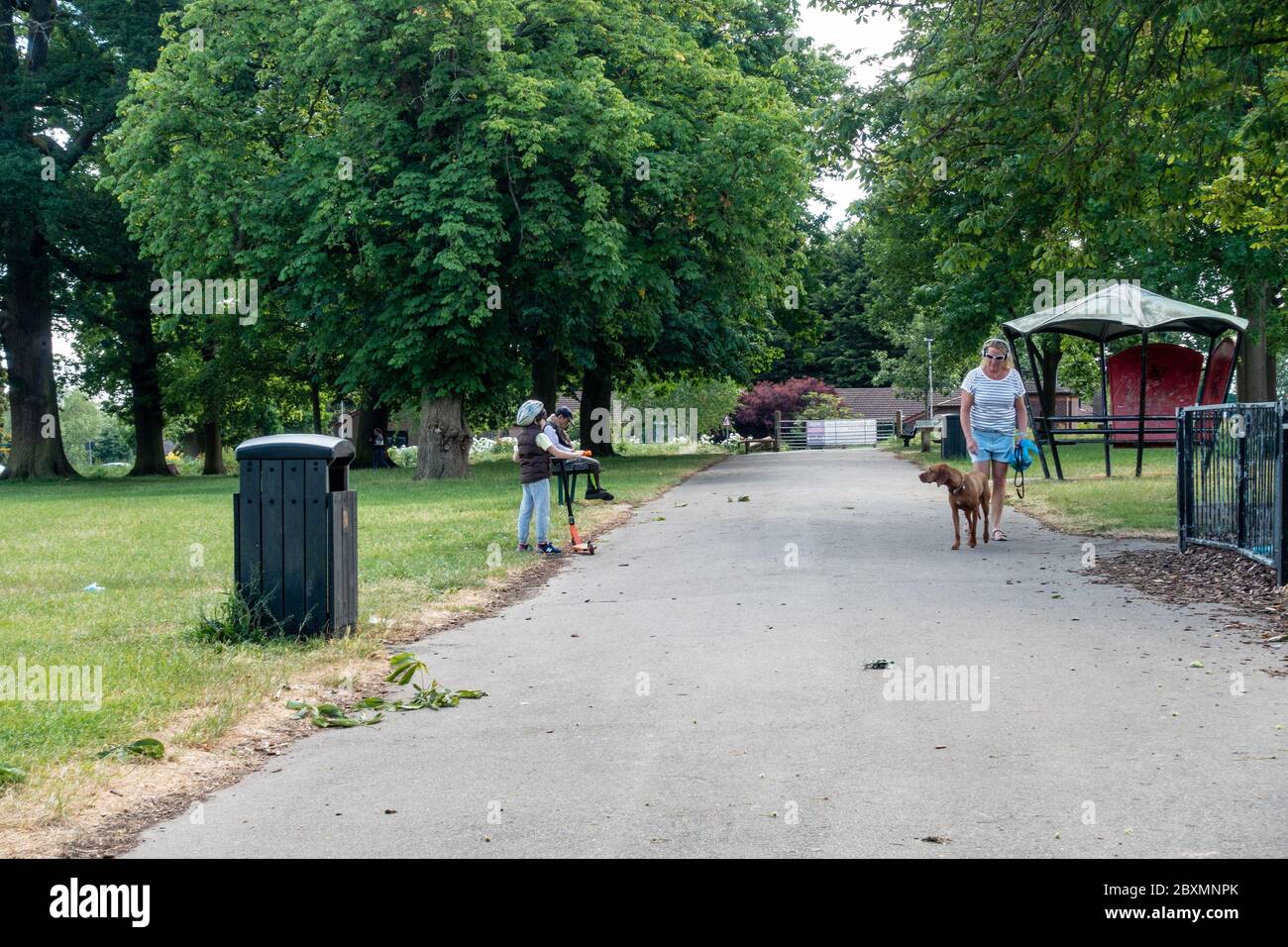 Ein kleines Kind auf einem Roller und eine Dame, die einen Hund geht, geben einander eine breite Geburt, um die soziale Distanz im Park durch Coronavirus zu erhalten. Stockfoto