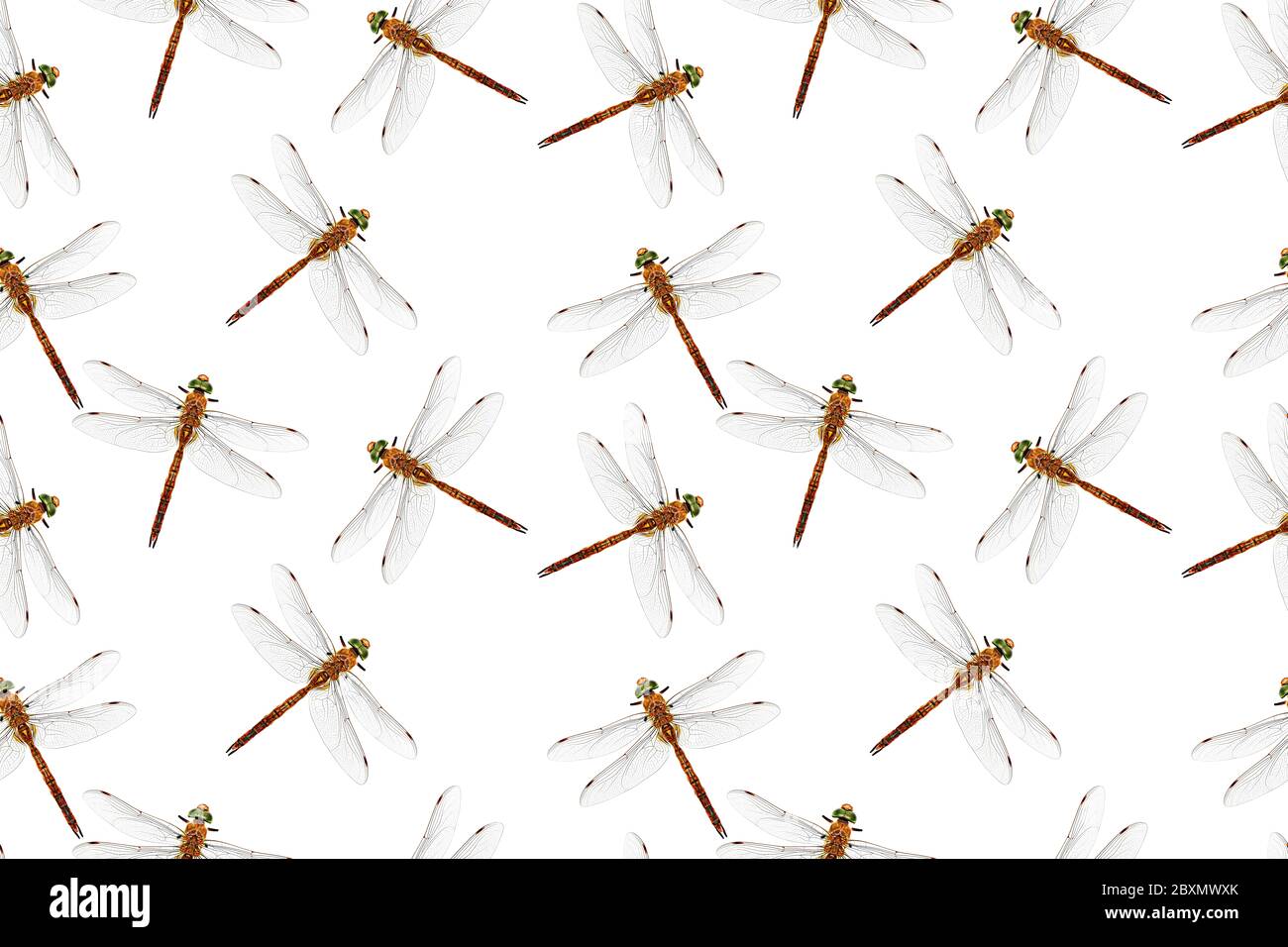Foto stilisierte Libelle isoliert auf weiß. Nahtloses Muster. Wiederholende Textur. Stockfoto