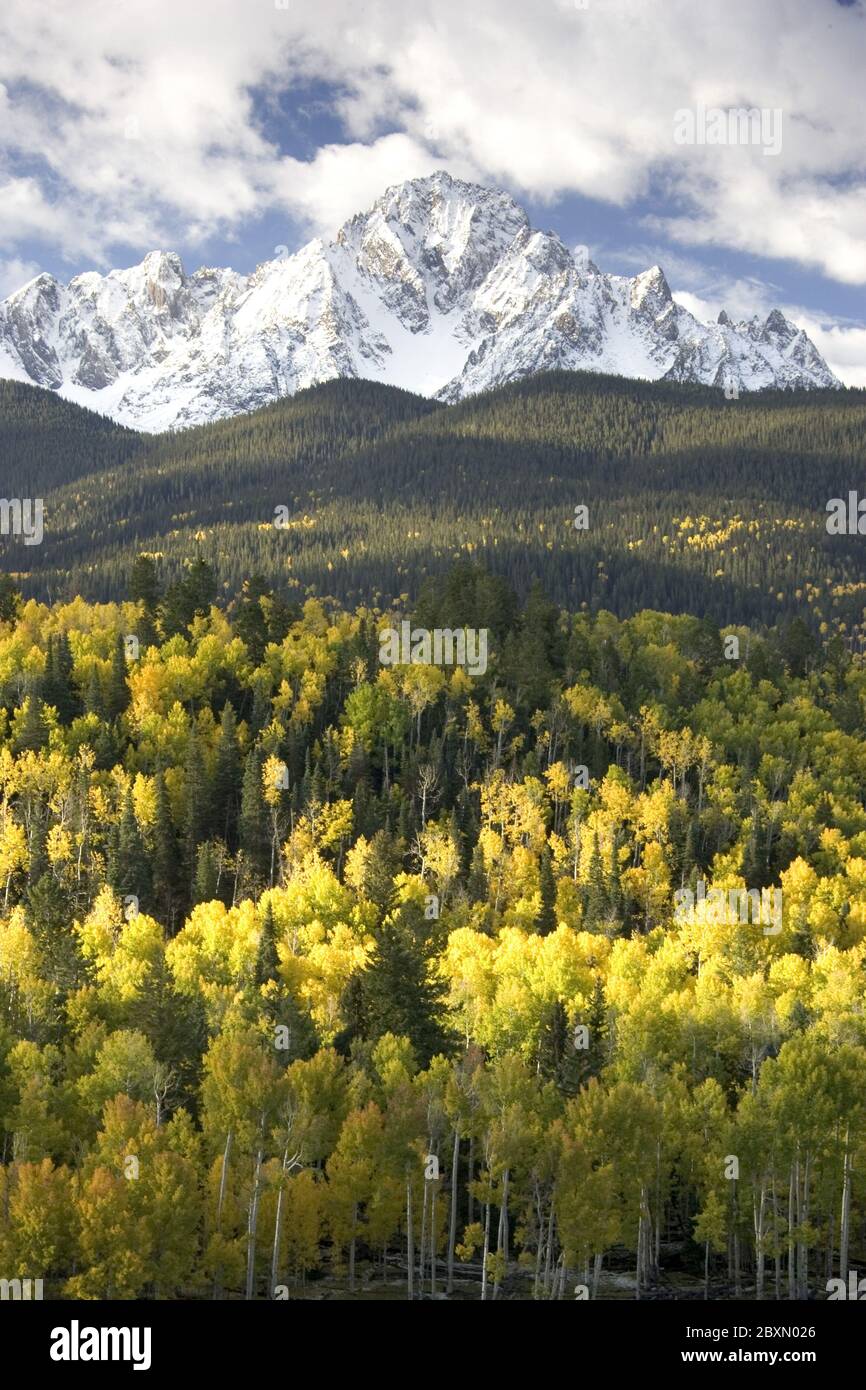 Herbstfarben in Colorado, USA Stockfoto