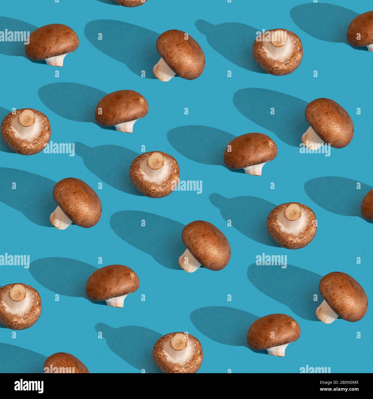 Braune Champignons Muster auf blauem Hintergrund Stockfoto