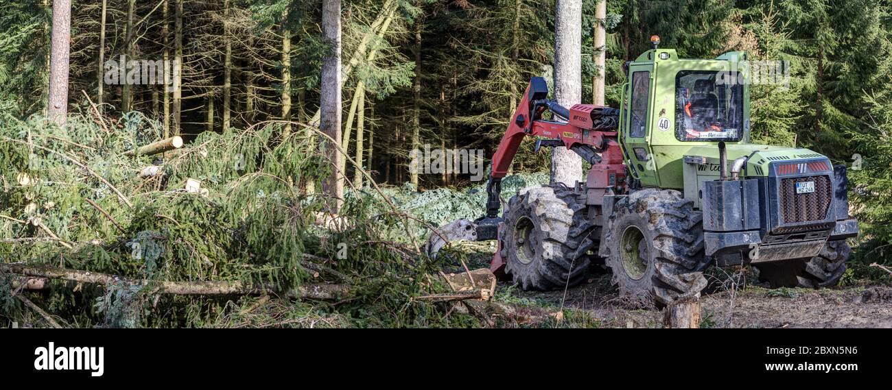 Trossingen, Deutschland, 02.21.2020 EIN Erntemaschinen steht im Wald und beseitigt die enormen Schäden, die durch einen schweren Sturm verursacht werden. Stockfoto